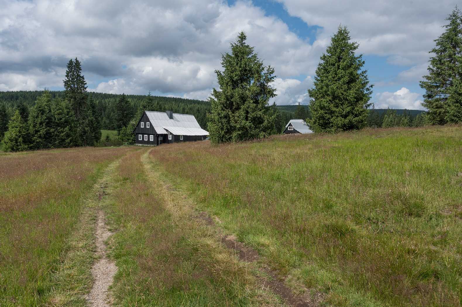 Na Jizerce - Foto Jaroslava Jechová 0725 (11)