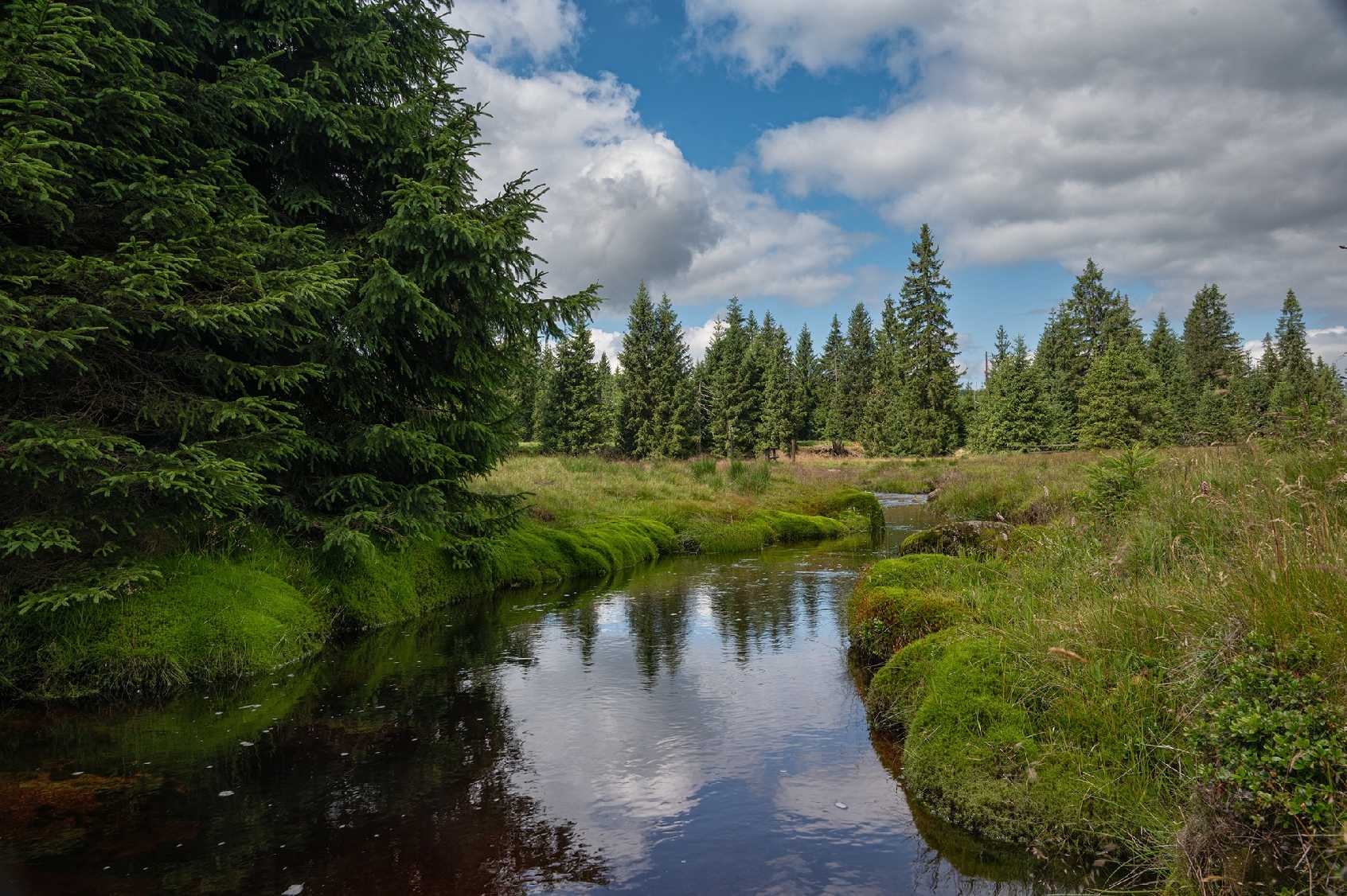 Na Jizerce - Foto Jaroslava Jechová 0725 (12)