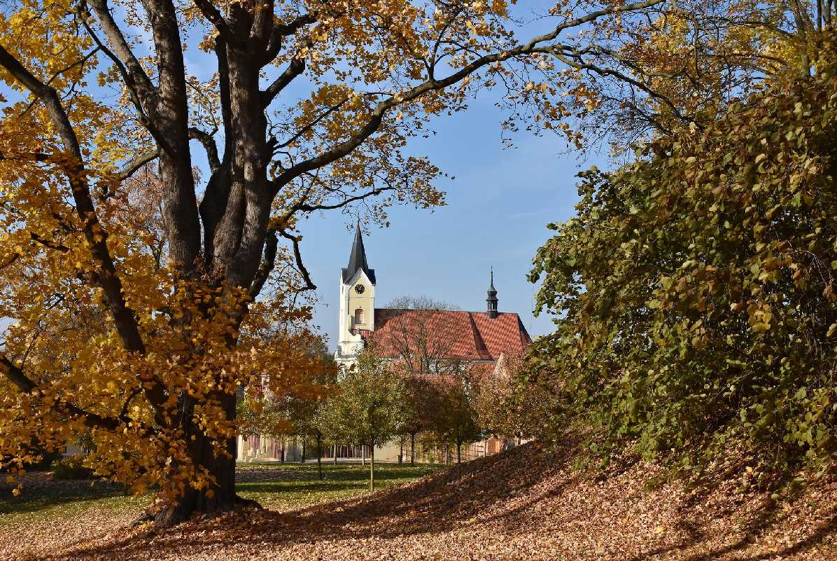 Podzim pod Kosířem - Foto Marie Vykydalová 1125 (1)