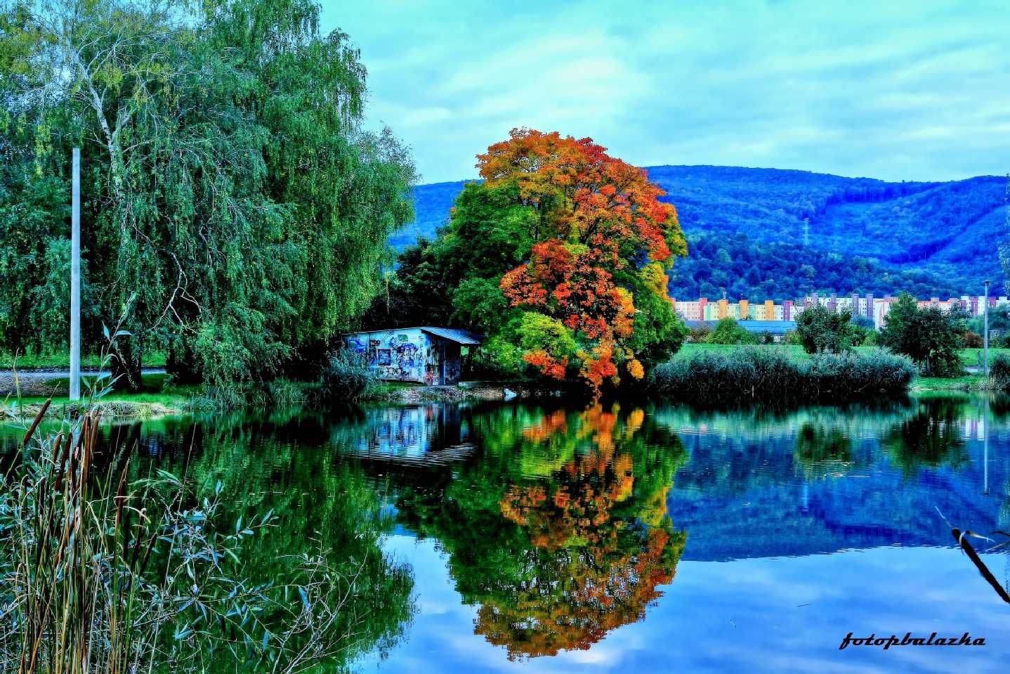 Podzim u vody - Foto Pavel Balazka 1025 (4)