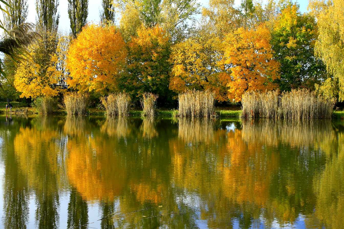 Podzim u vody - Foto Pavel Balazka 1025