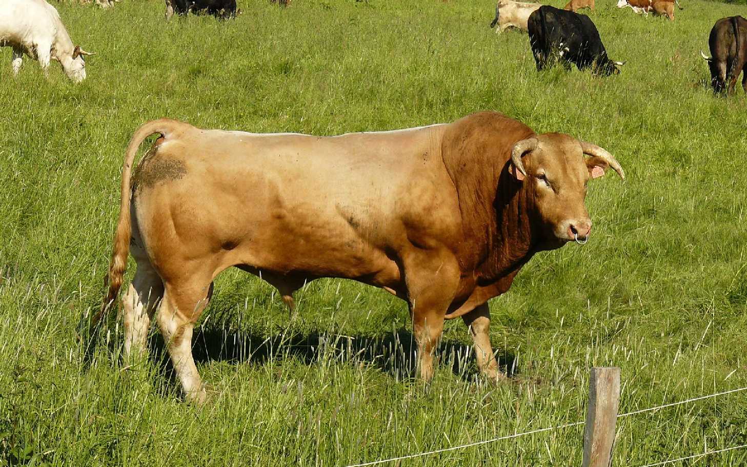 Na farmě - Foto Pavel Stančík 1225 (3)