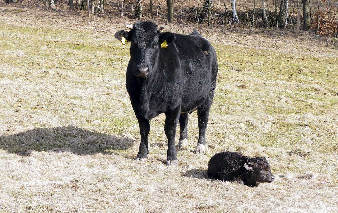 Na farmě - Foto Pavel Stančík 1225 (7)