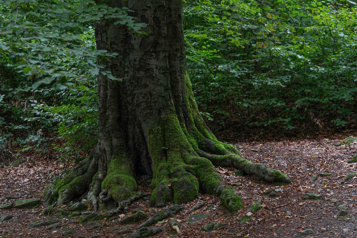 Na Klíči - Foto Petr Germanič 0925 (2)