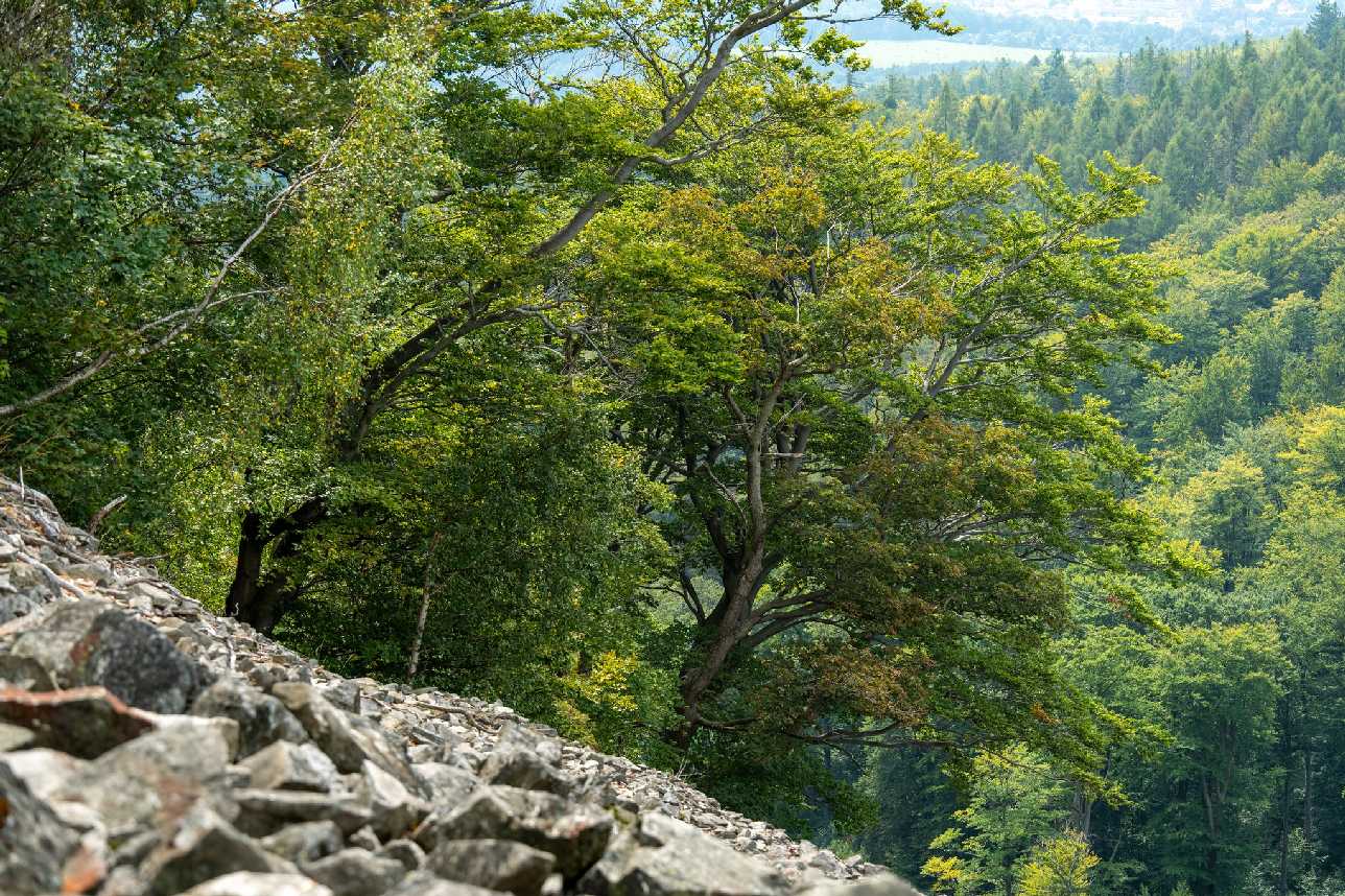 Na Klíči - Foto Petr Germanič 0925 (6)