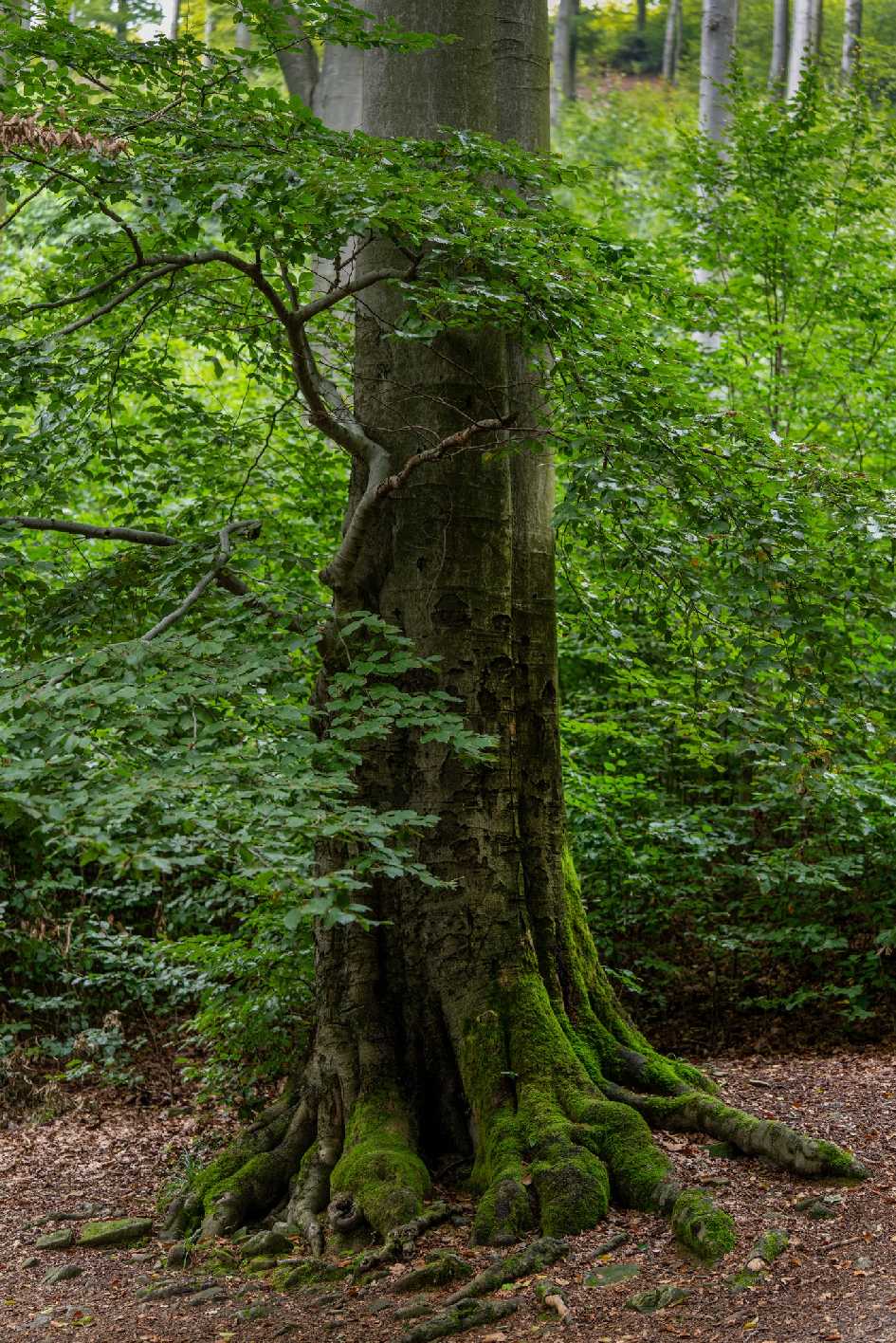 Na Klíči - Foto Petr Germanič 0925 (7)