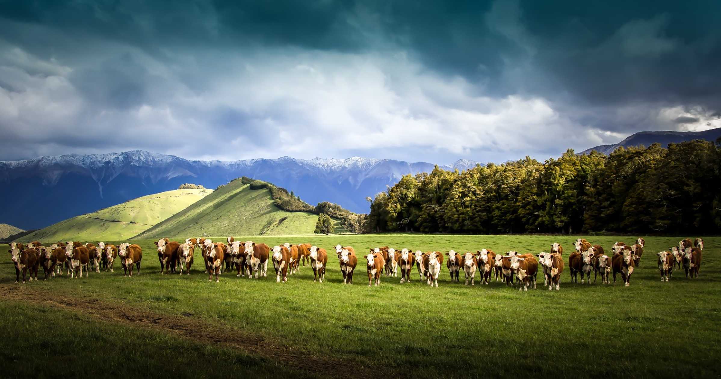 Zařadit se - Foto Ladislav Hanousek 1225