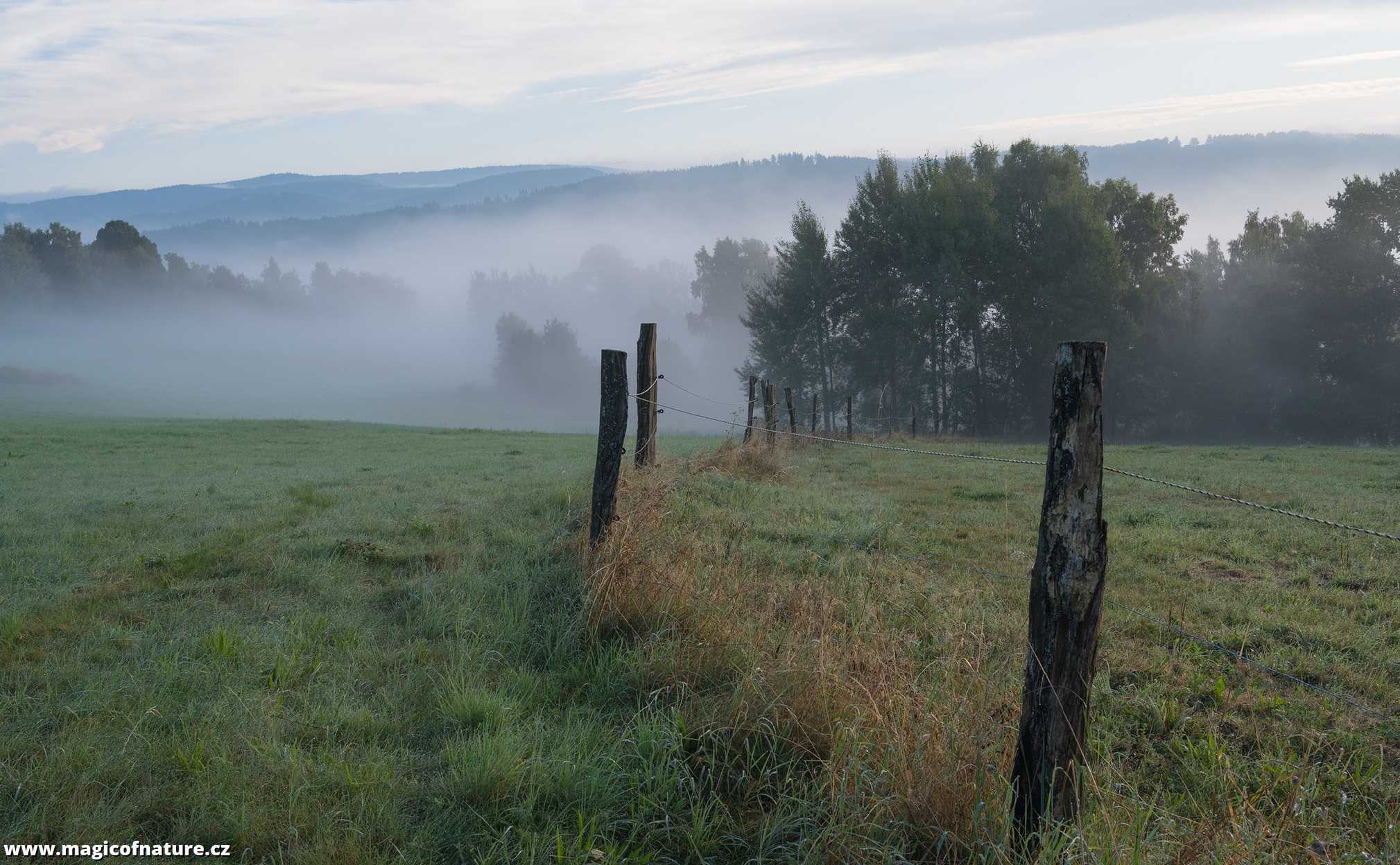 Ranní zářijové mlhy - Foto Jaroslava Jechová 0925 (4)