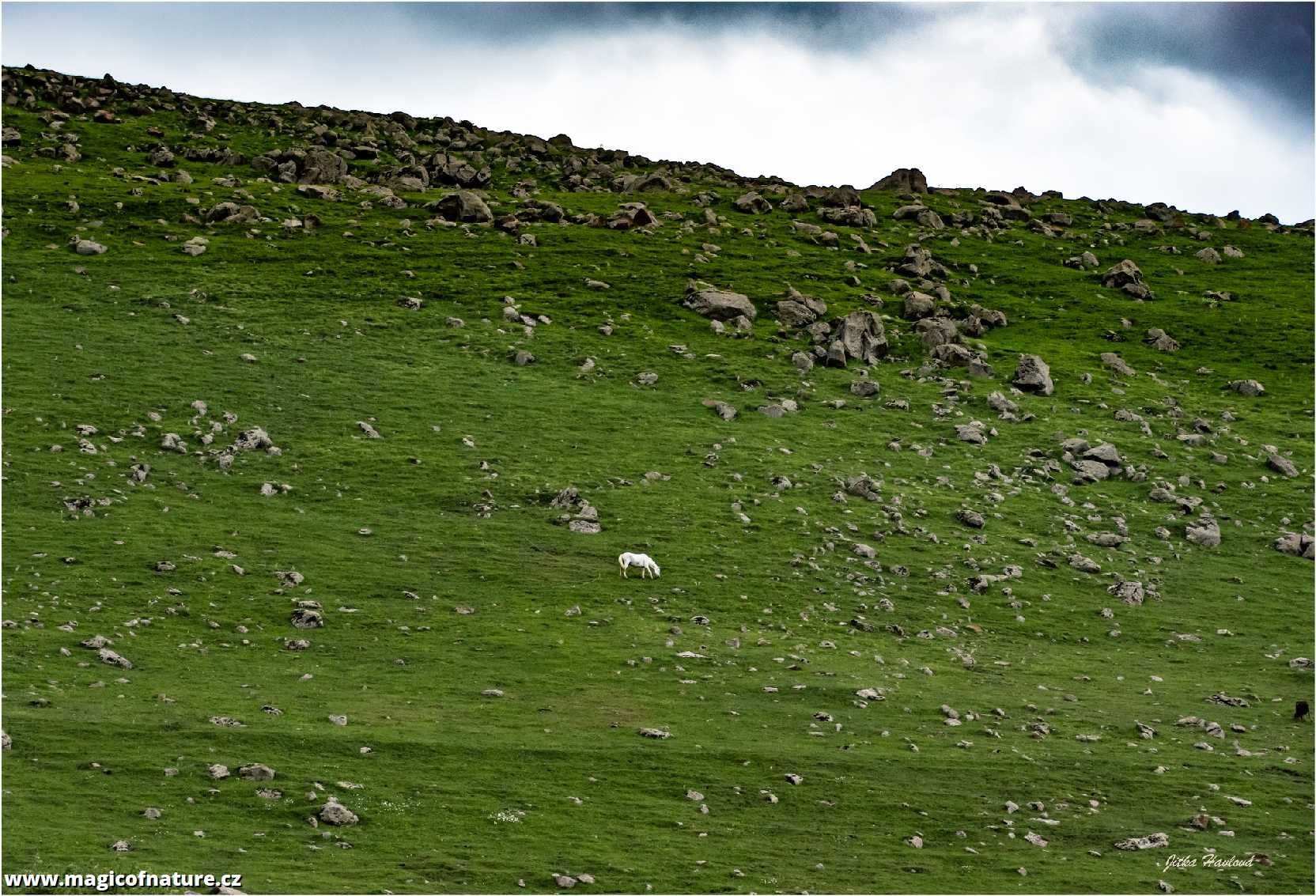 Gruzie - Foto Jitka Havlová 1125