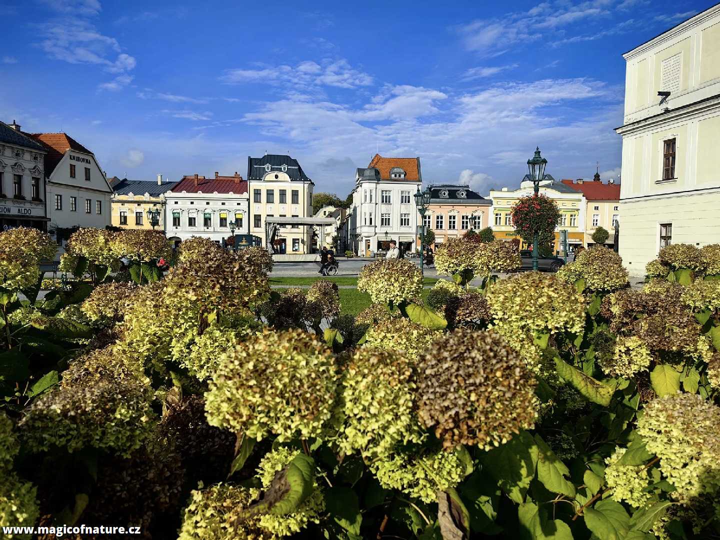 V Karviné - Foto Marie Vykydalová 1025 (2)