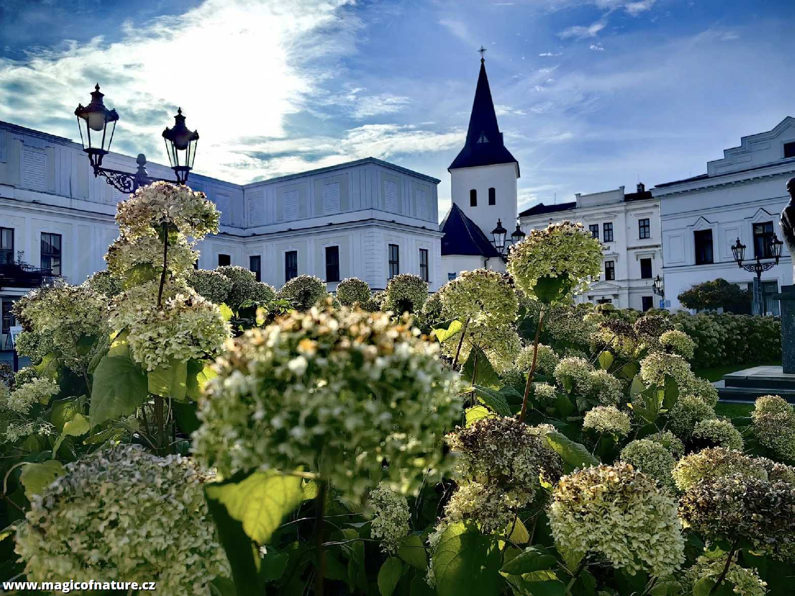 V Karviné - Foto Marie Vykydalová 1025 (4)