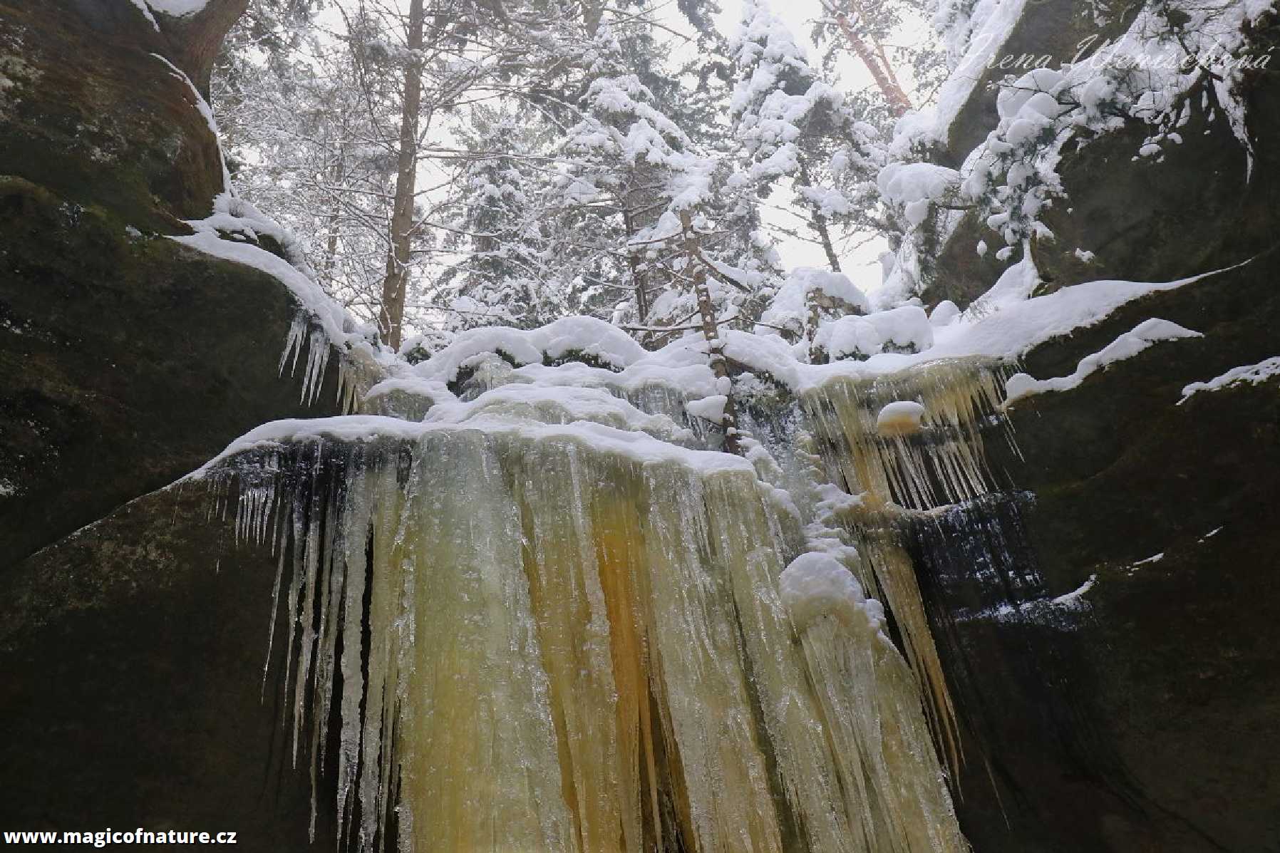Brtnické ledopády - Foto Irena Wenischová 1225 (1)