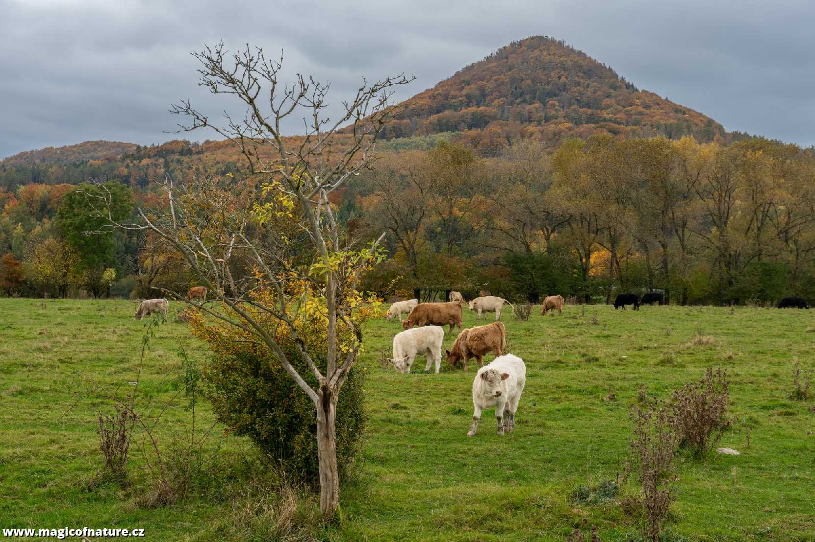 Podzimní toulání - Foto Petr Germanič 1025 (2)