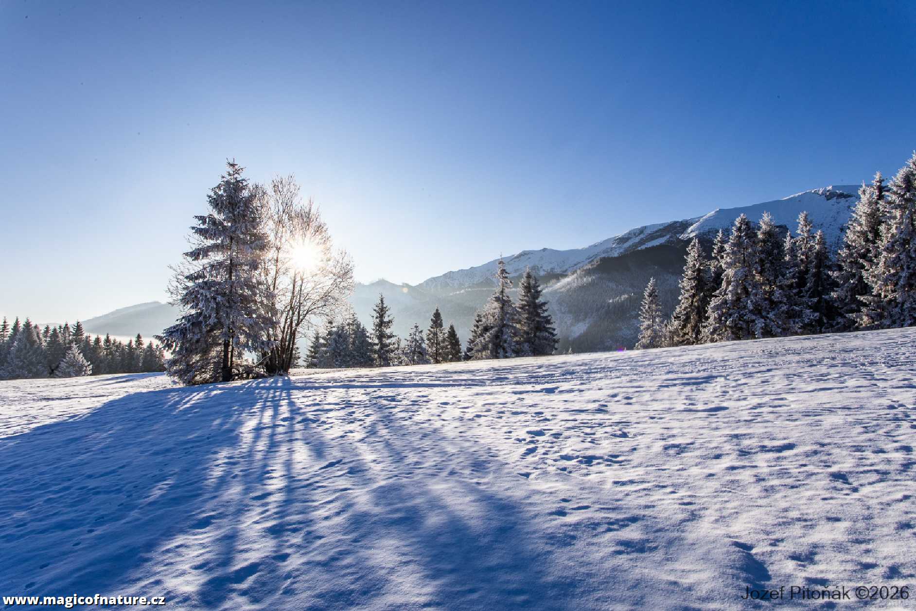 První únorové ráno - Foto Jozef Pitoňák 0226 (2)