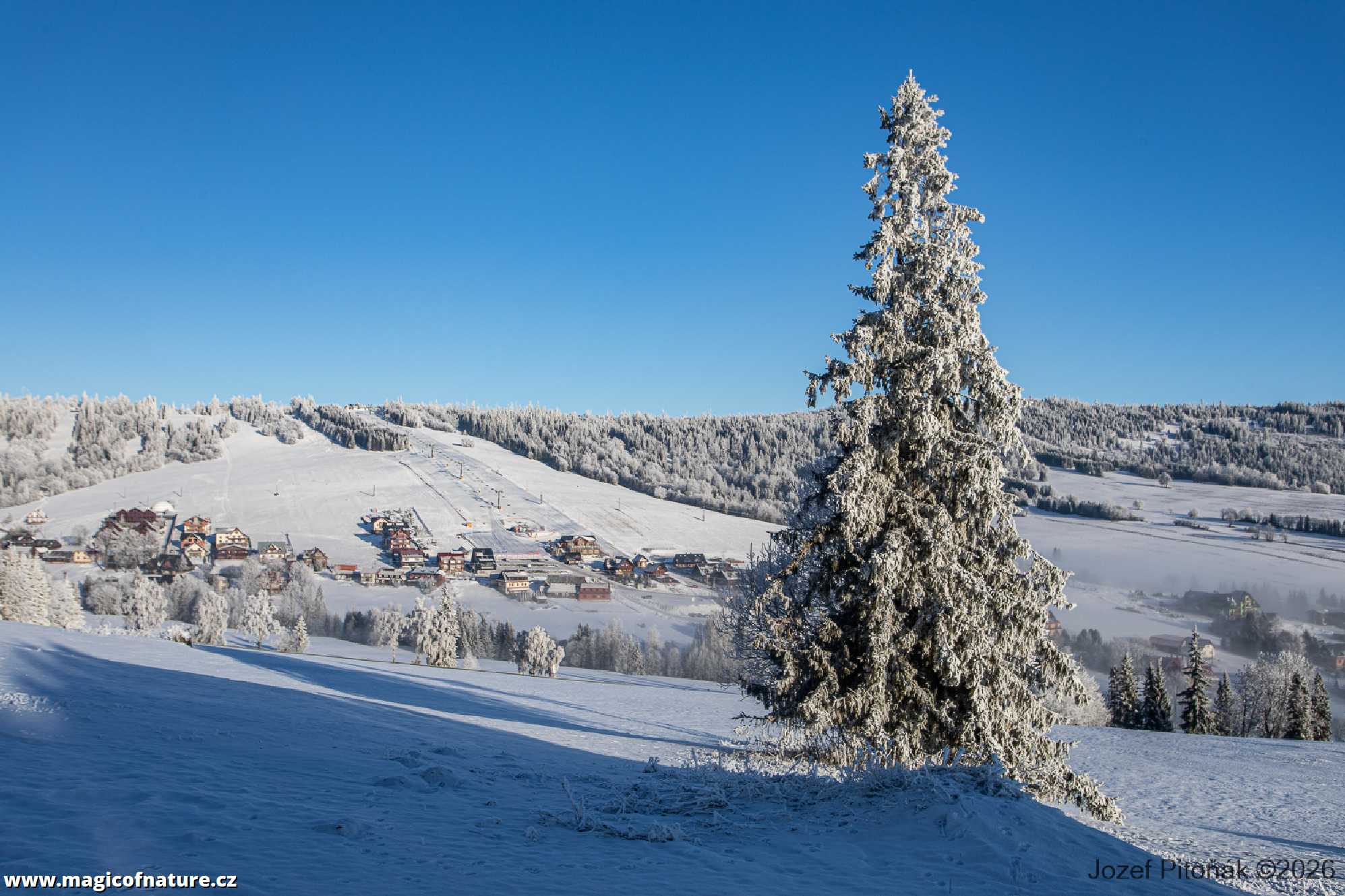 První únorové ráno - Foto Jozef Pitoňák 0226 (4)