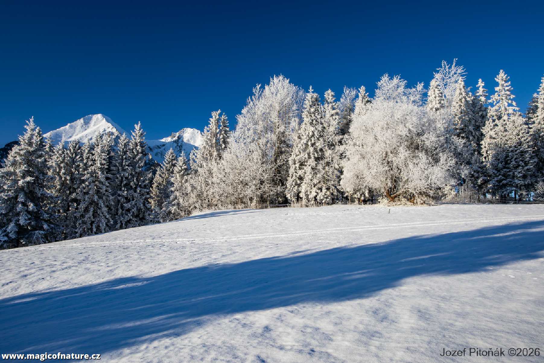 První únorové ráno - Foto Jozef Pitoňák 0226 (5)