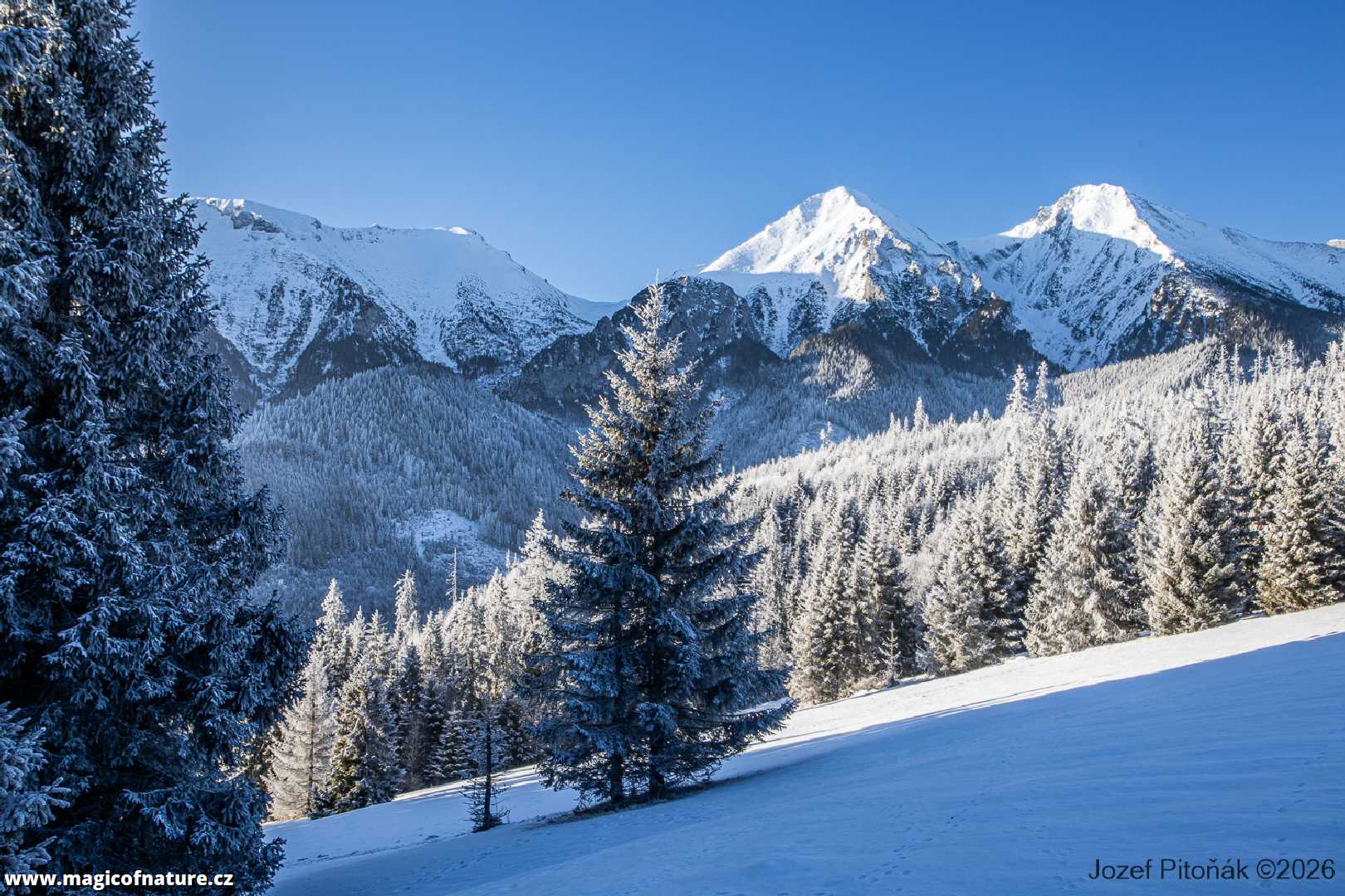 První únorové ráno - Foto Jozef Pitoňák 0226 (7)