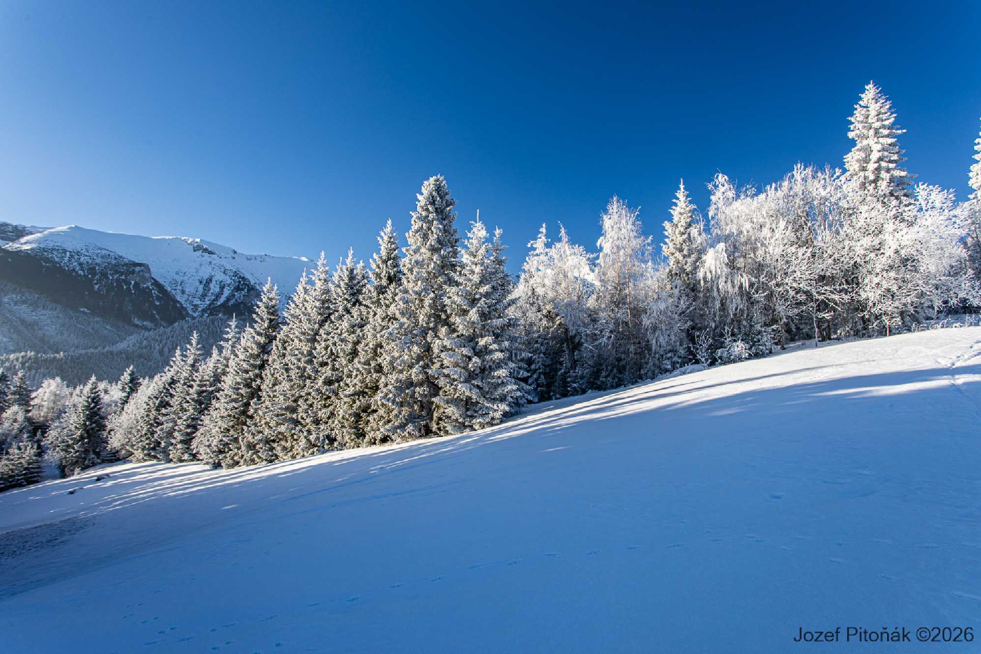 První únorové ráno - Foto Jozef Pitoňák 0226 (9)