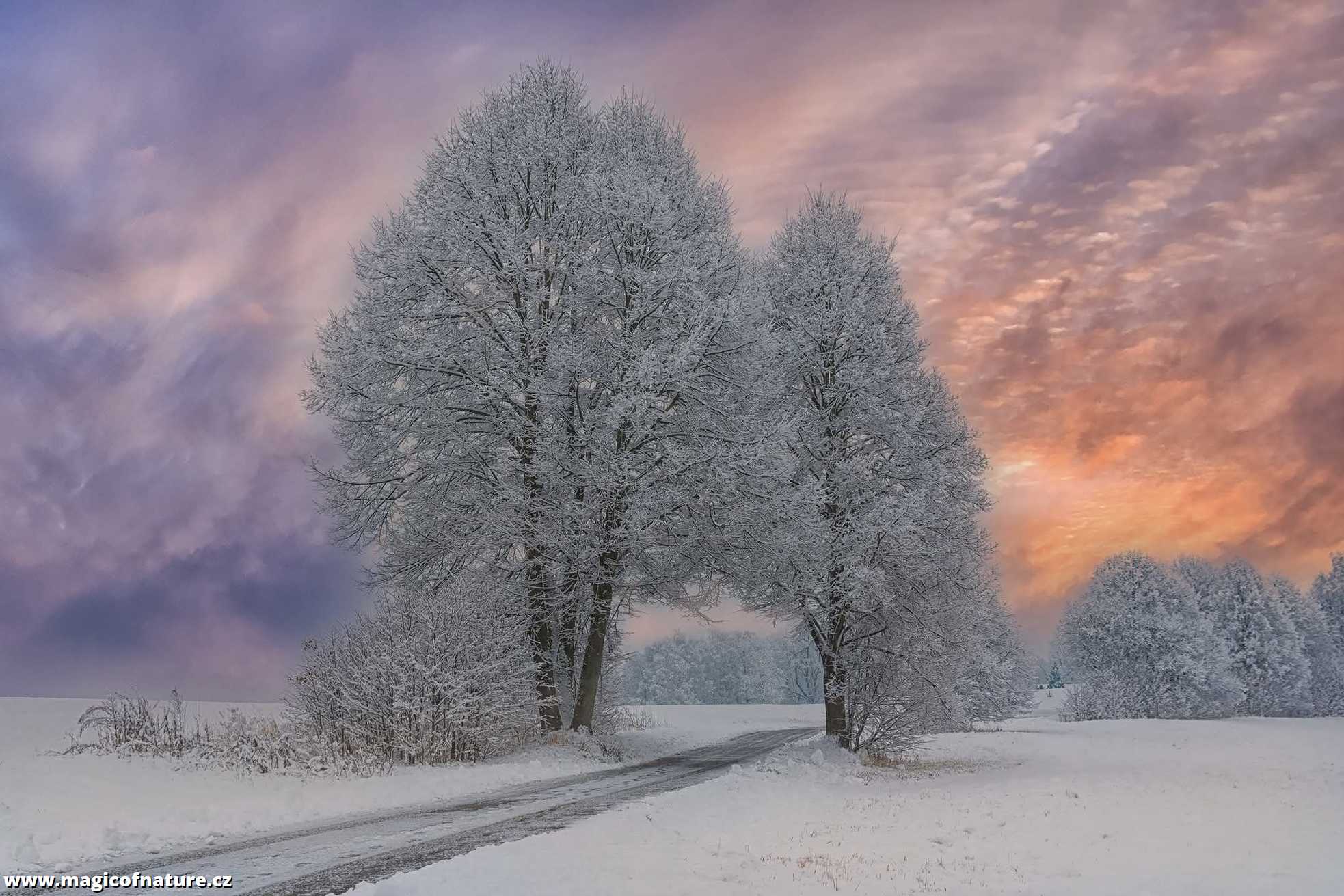 A dnes .... - Foto Jaroslava Jechová 0226