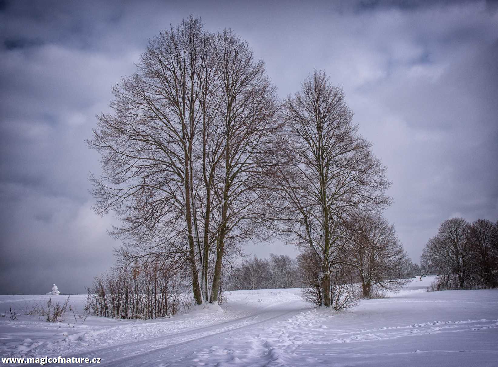 Dříve .... - Foto Jaroslava Jechová 0226