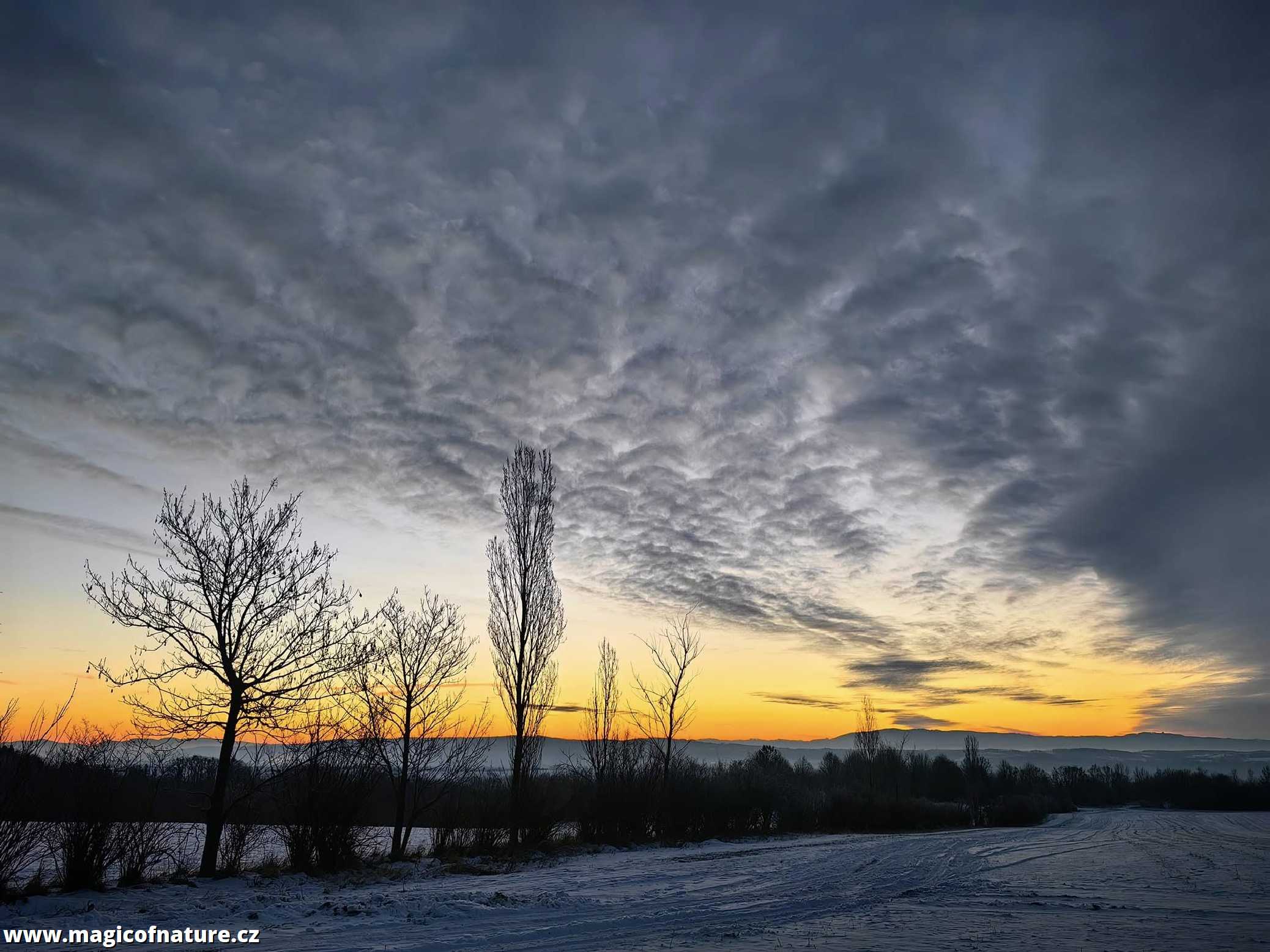Lednové ráno -   Skoky u Lipníku nad Bečvou - Foto Marie Vykydalová 0126 (3)