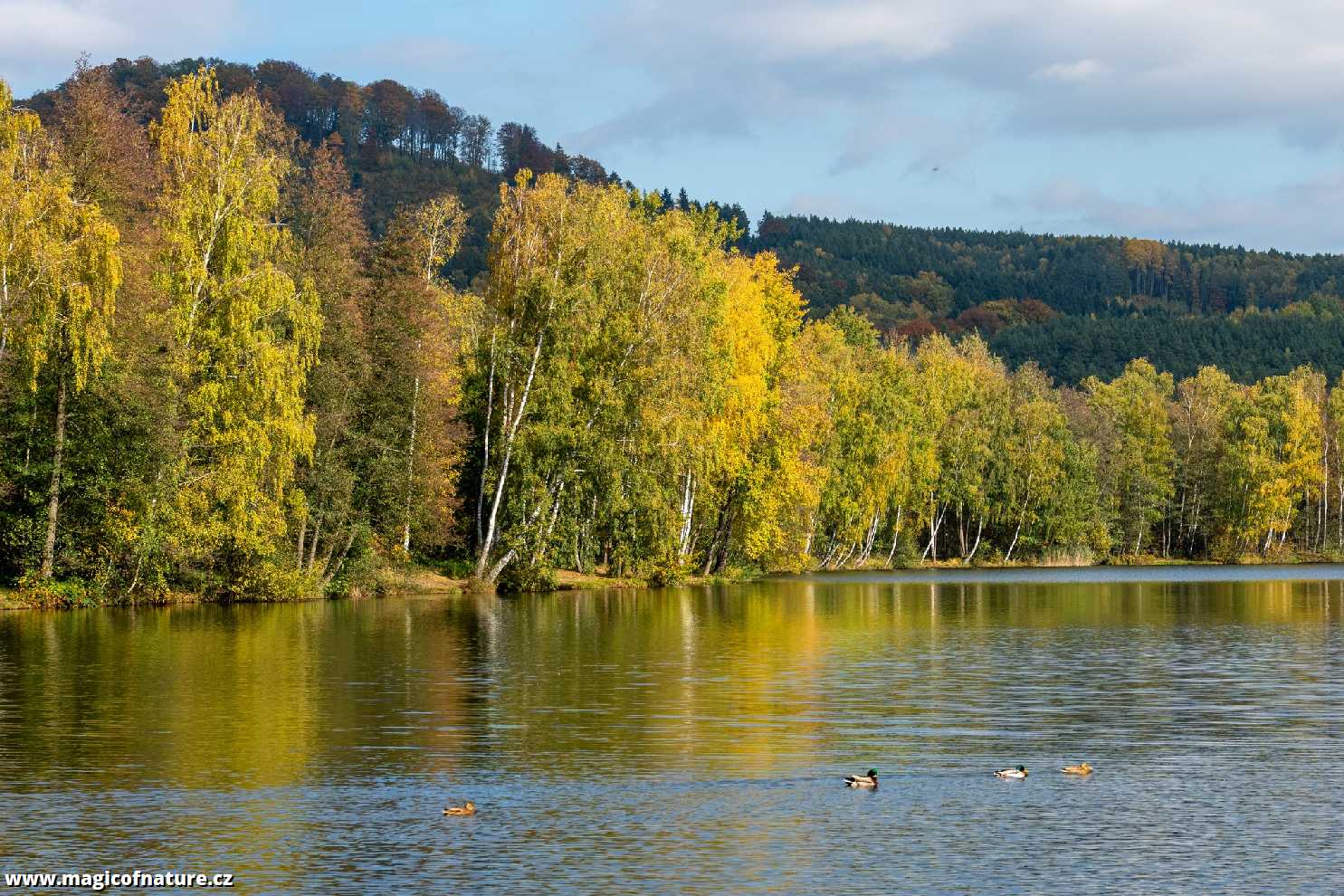 U podzimní vody - Foto Petr Germanič 1025 (2)