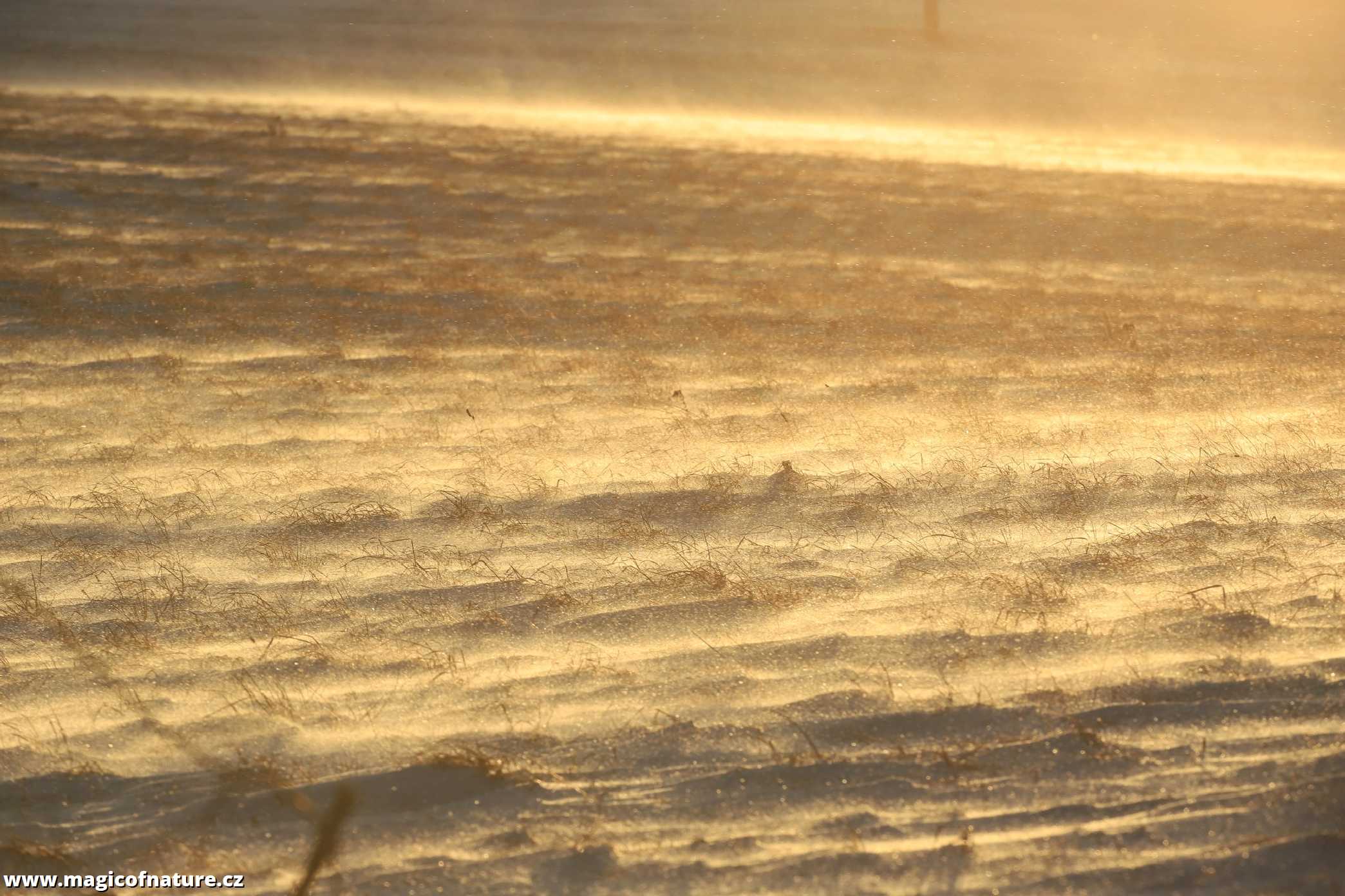 Mrazivo a větrno - Foto Ladislav Jonák 0126 (2)