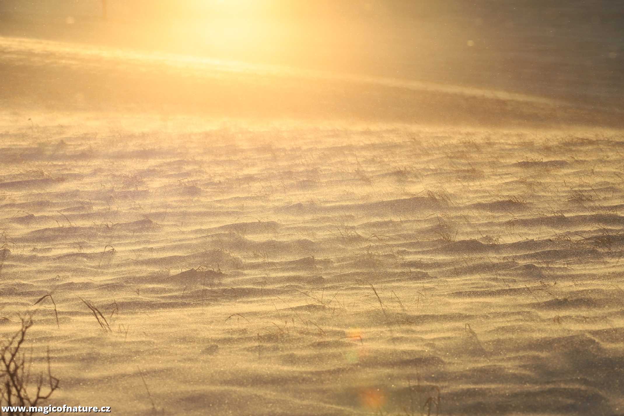 Mrazivo a větrno - Foto Ladislav Jonák 0126 (4)
