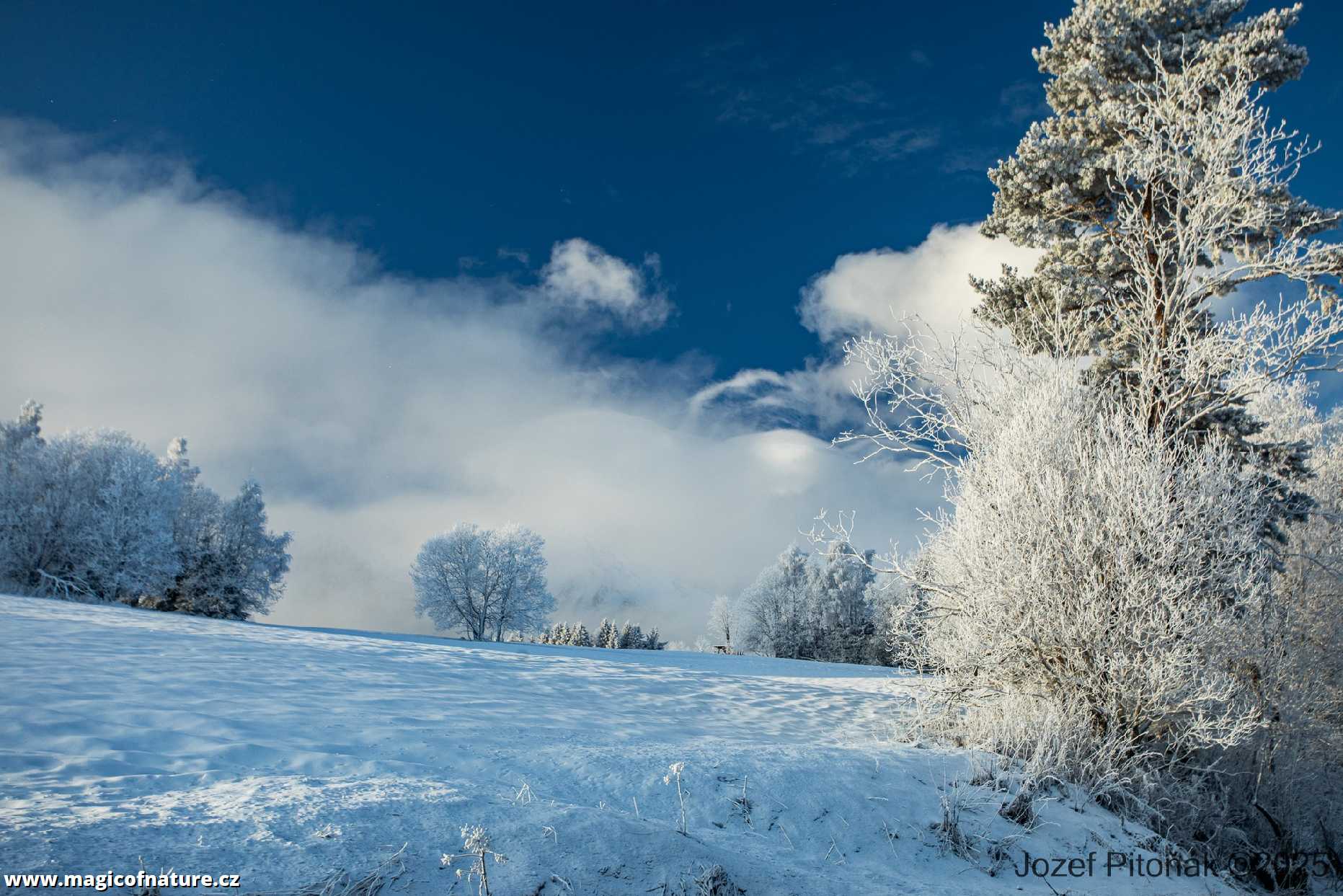 Vládne paní Zima - Foto Jozef Pitoňák 1225 (4)