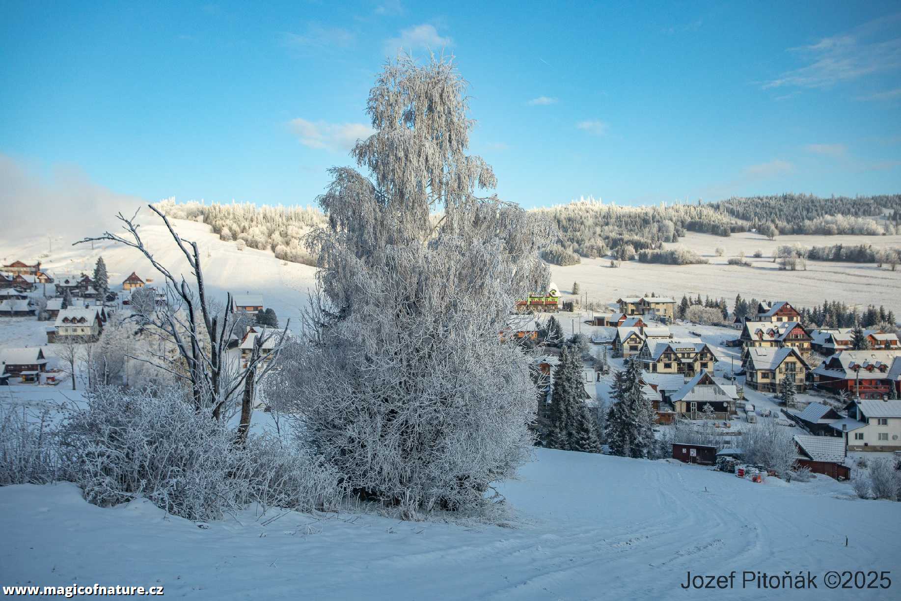 Vládne paní Zima - Foto Jozef Pitoňák 1225 (5)