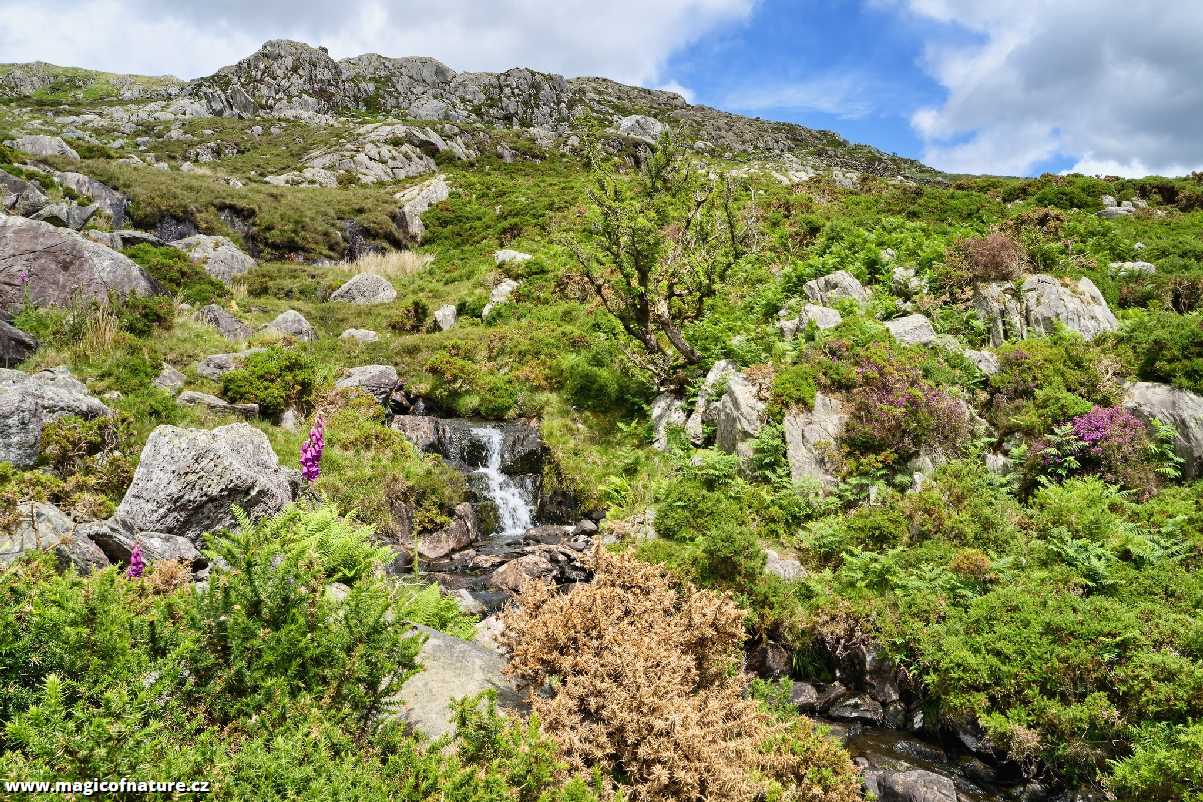 Snowdonia - Wales - Foto Jana Ježková 0725 (1)