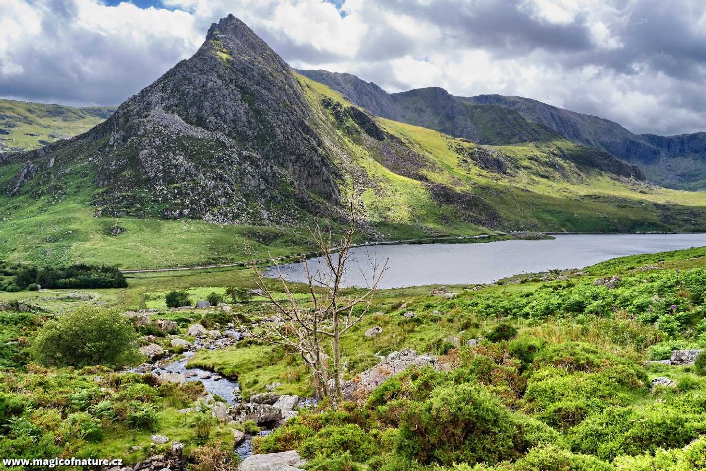 Snowdonia - Wales - Foto Jana Ježková 0725 (4)