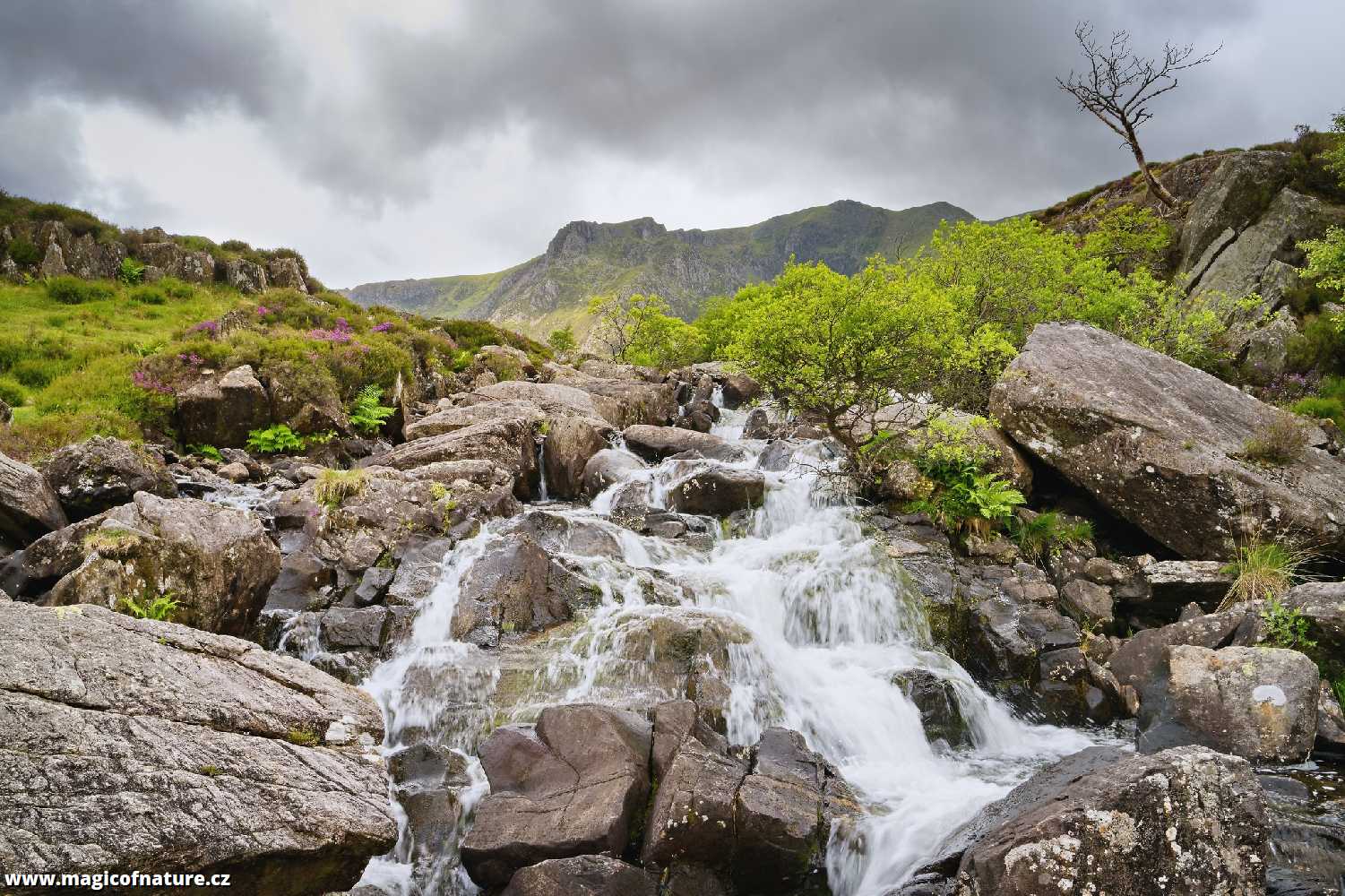 Snowdonia - Wales - Foto Jana Ježková 0725 (7)
