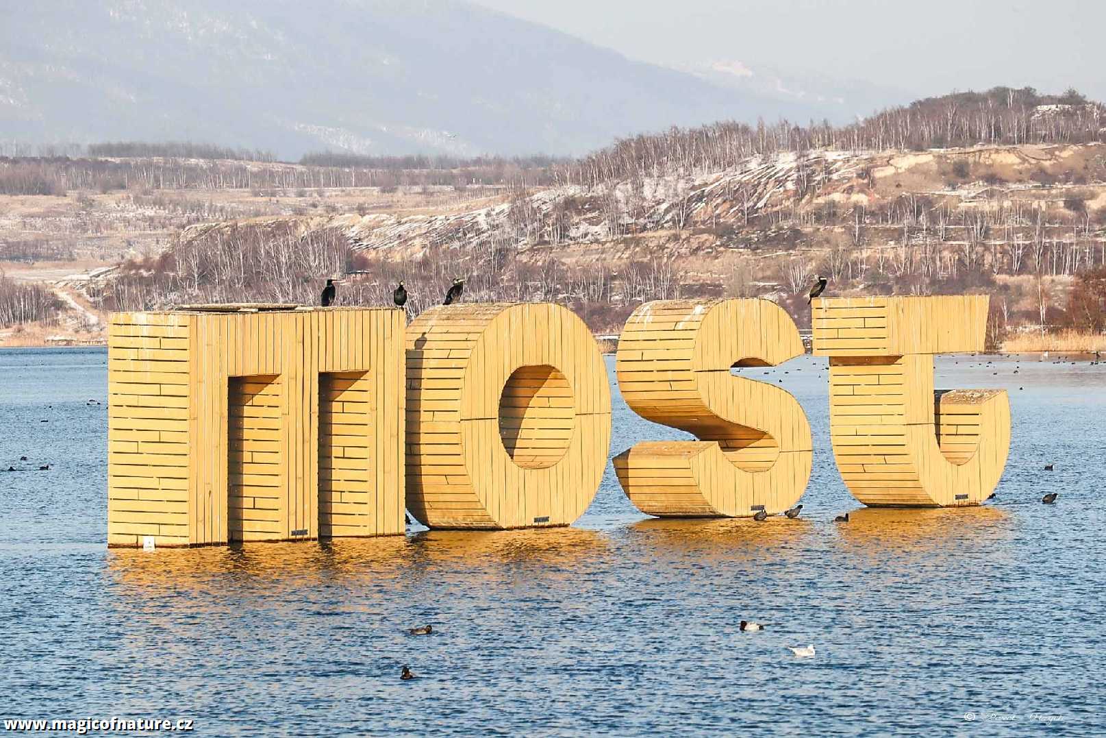 Na procházce kolem Jezera Most - Foto Pavel Ulrych 0226 (1)