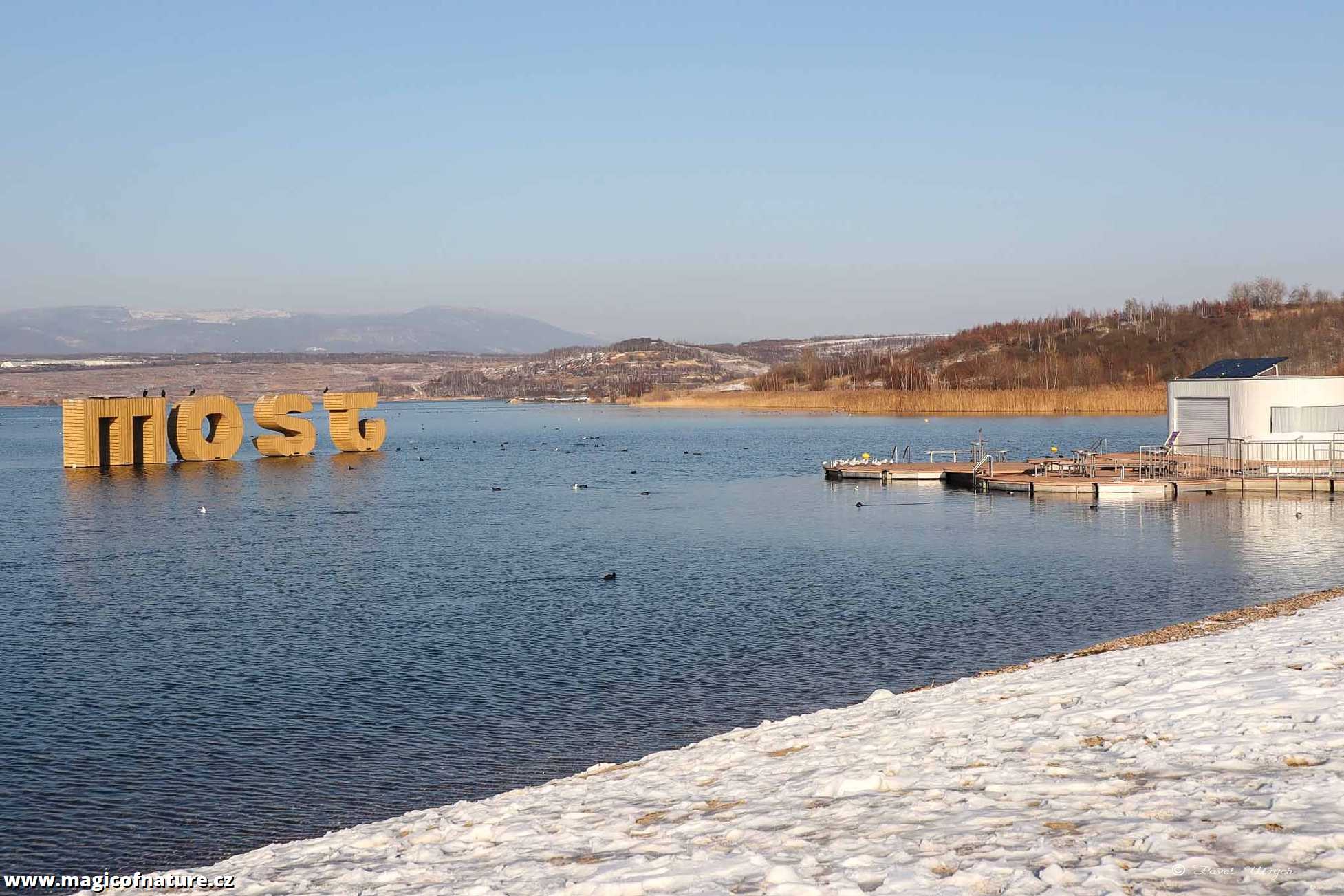 Na procházce kolem Jezera Most - Foto Pavel Ulrych 0226 (7)