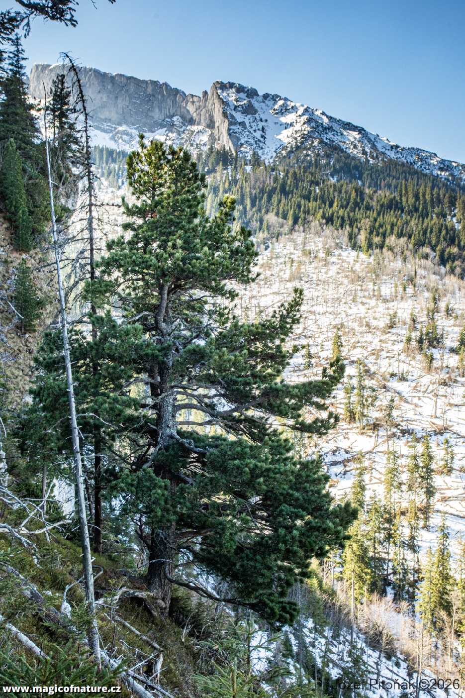 Už i hory svlékají zimní šat - Foto Jozef Pitoňák 0326 (7)