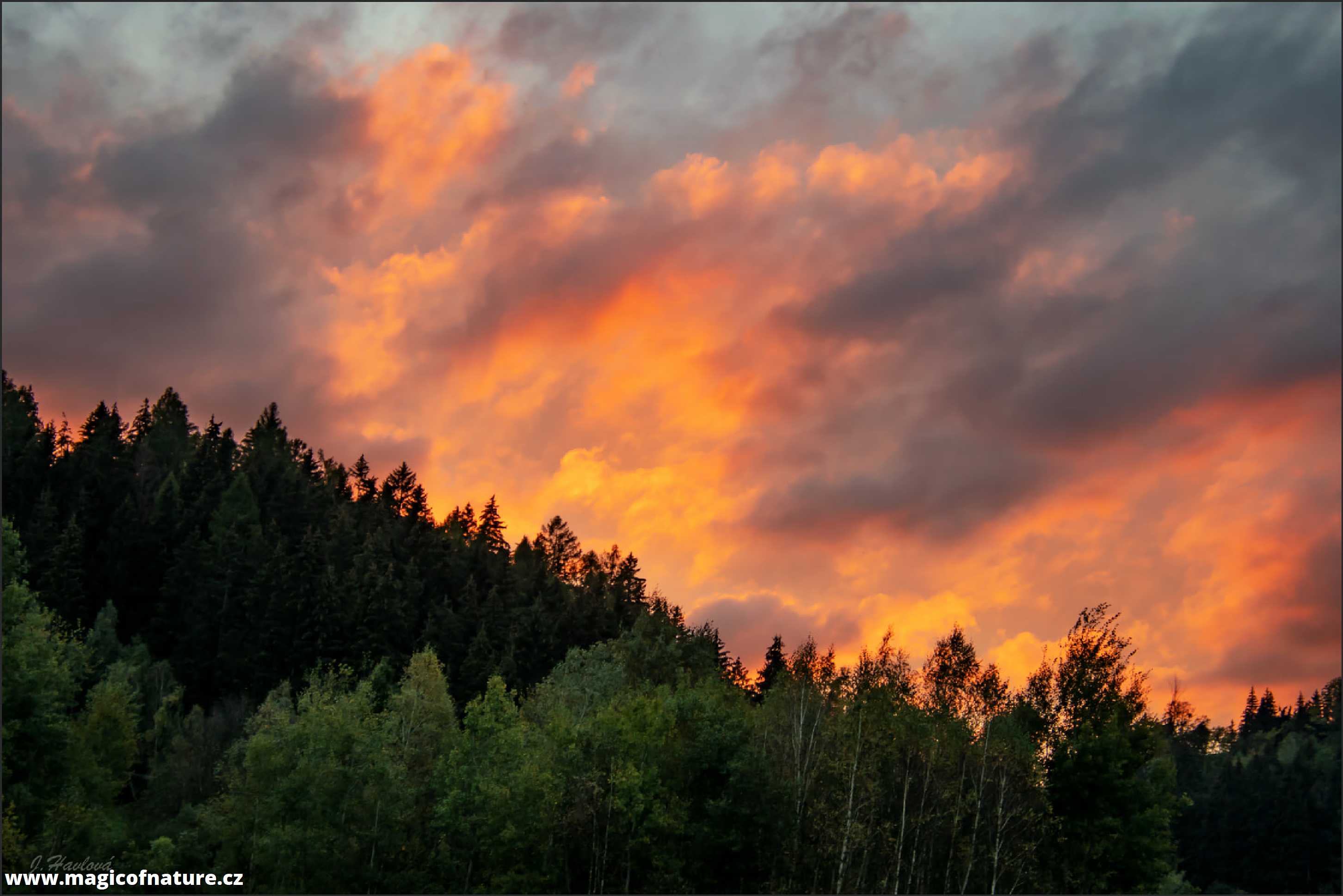 Jeseníky - Foto Jitka Havlová 0326 (4)