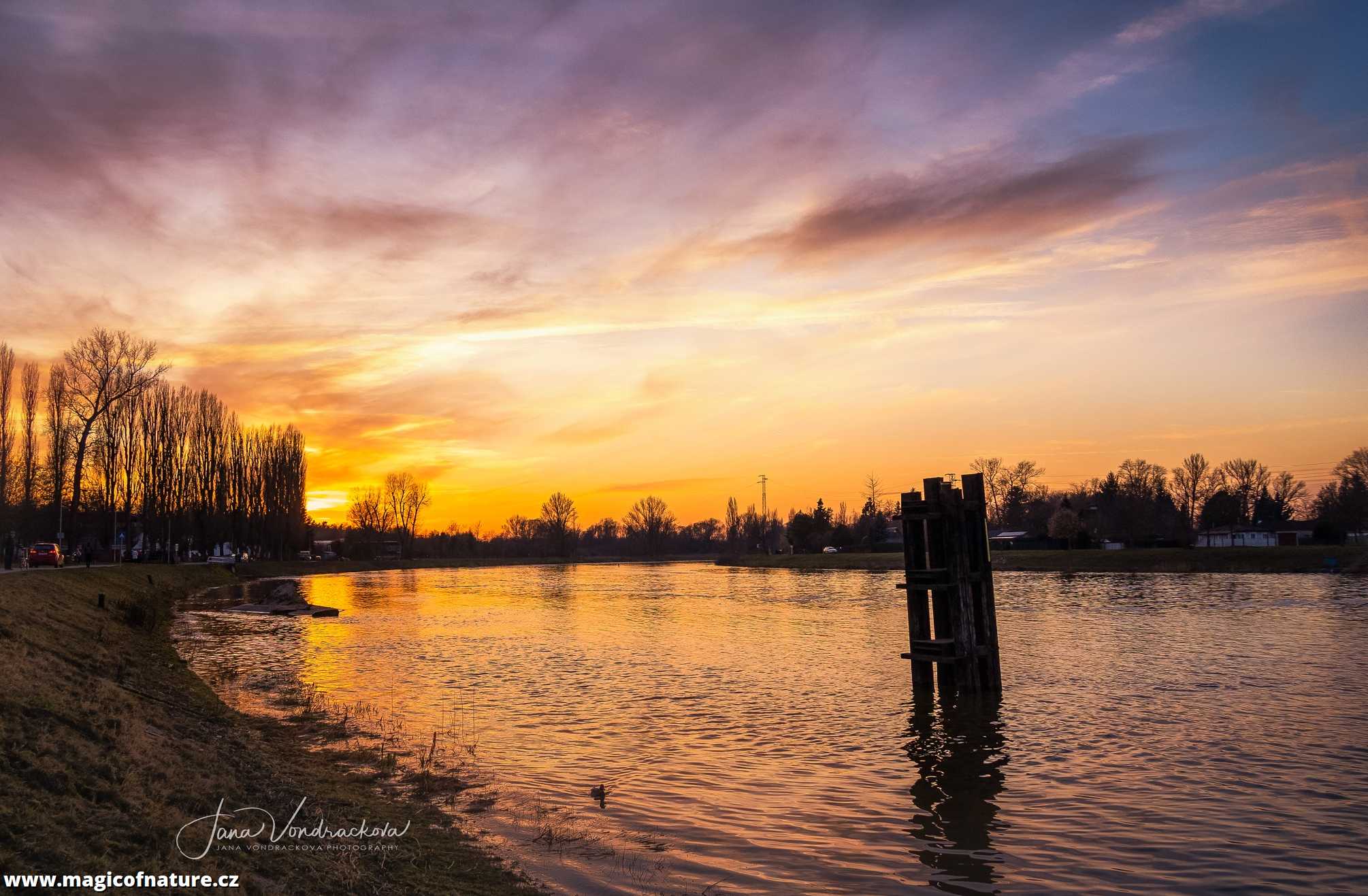 Slunce maluje - Foto Jana Vondráčková 0326