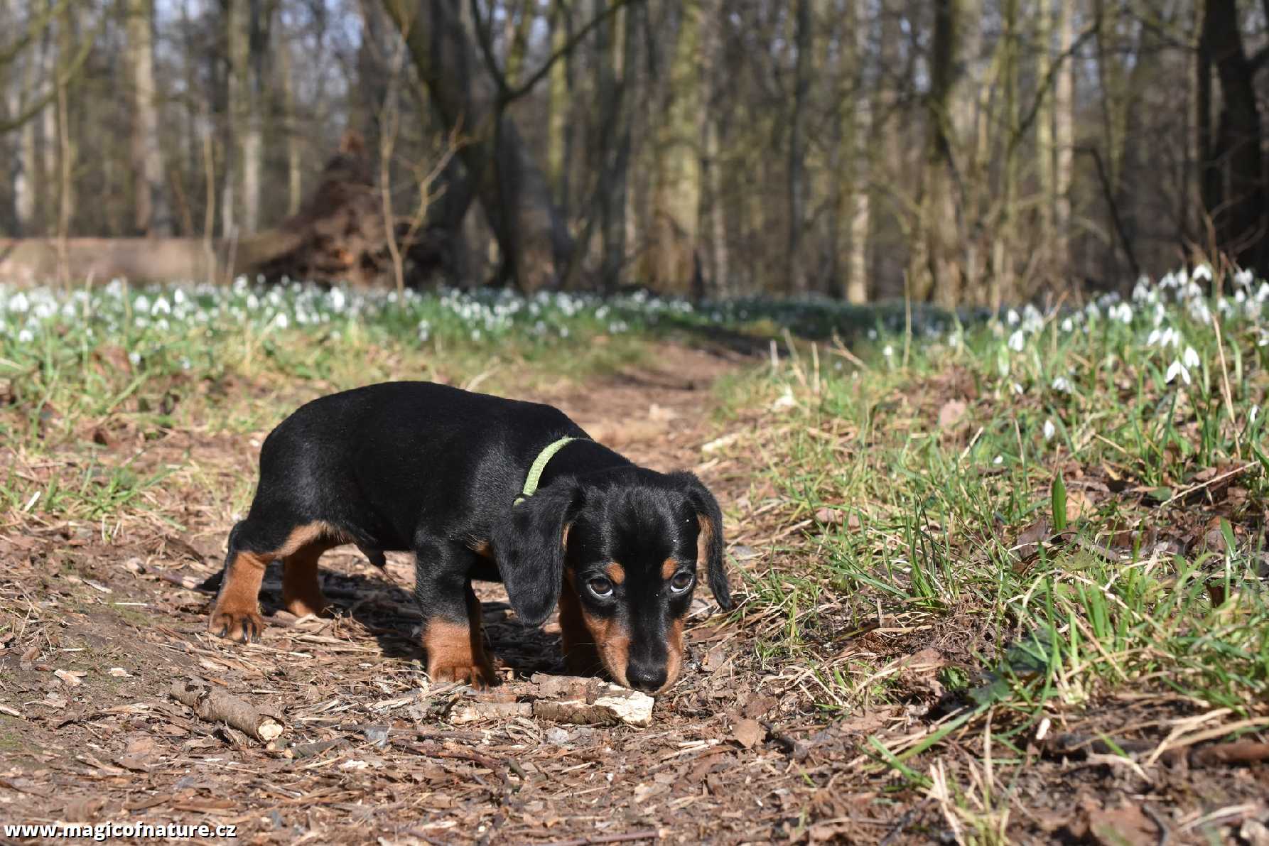 Jmenuji se Benny - Foto Marie Vykydalová 0326 (4)