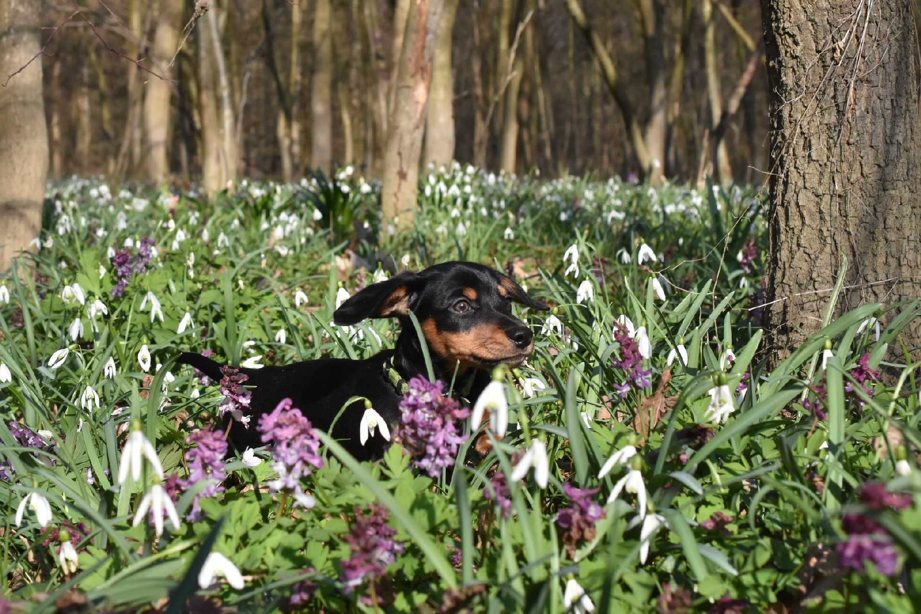 Jmenuji se Benny - Foto Marie Vykydalová 0326 (5)