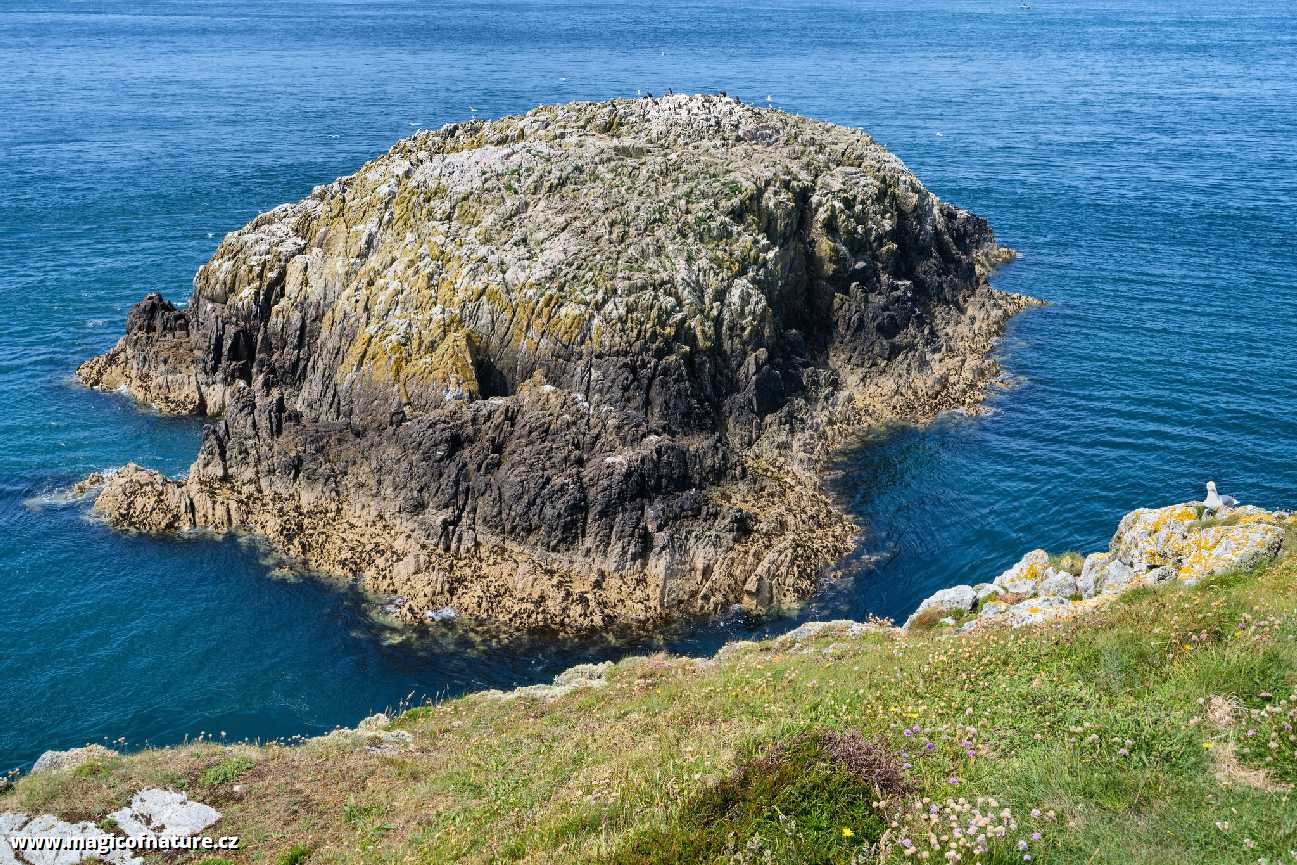 South and North Stack - Holyhead -  North Wales - Foto Jana Ježková 0725 (2)