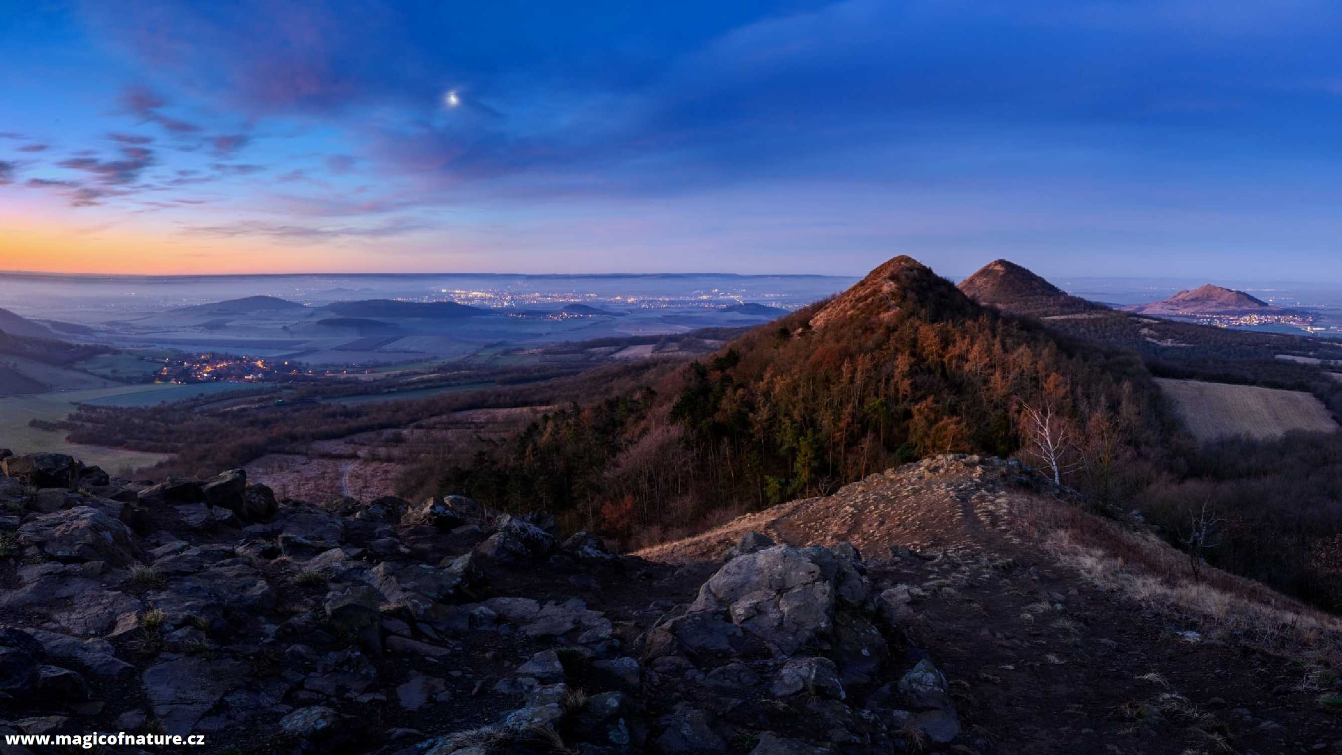Modrá hodinka v Ranském středohoří - Foto Petr Kovář 0426