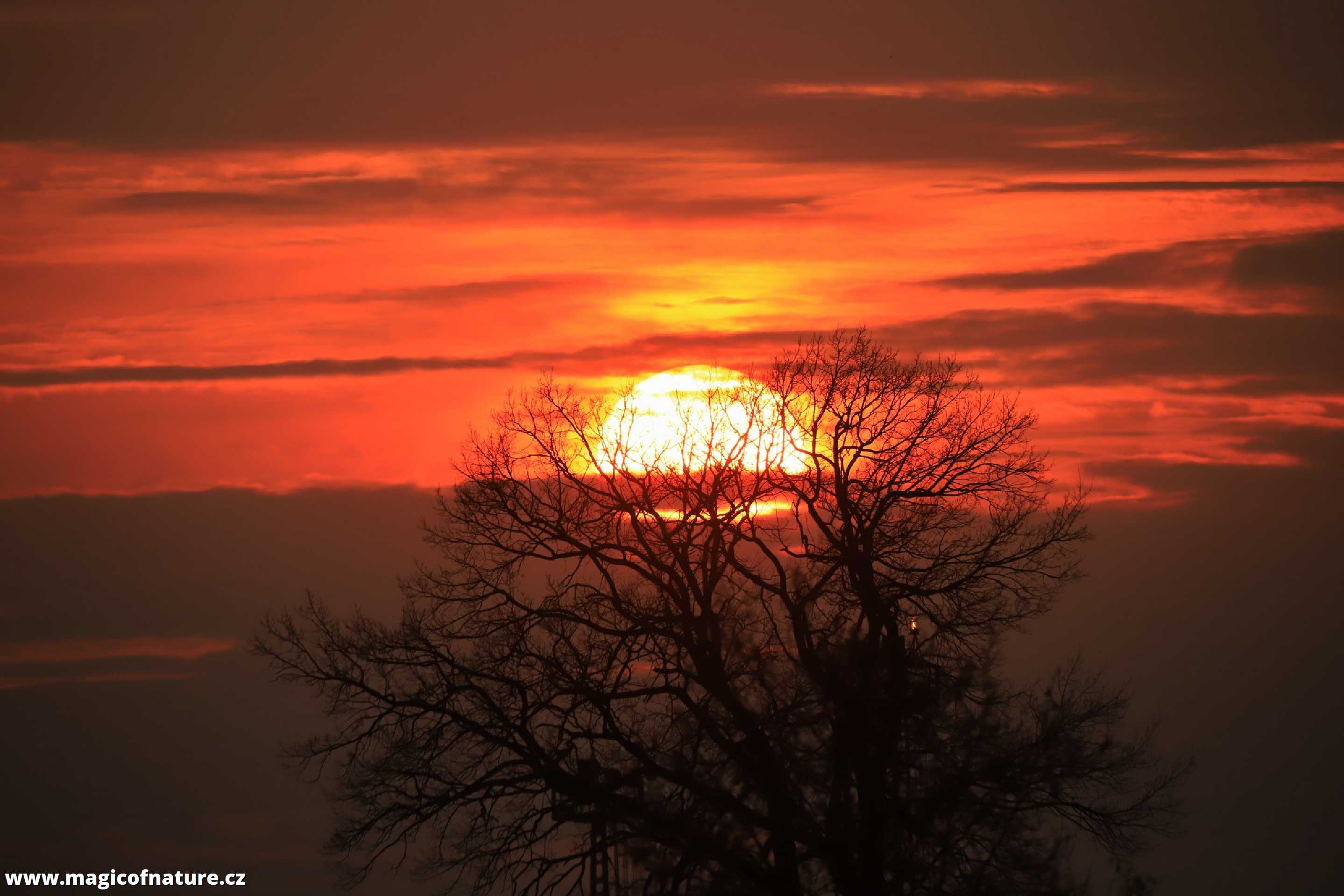 Březnové ráno - Foto Ladislav Jonák 0326 (1)