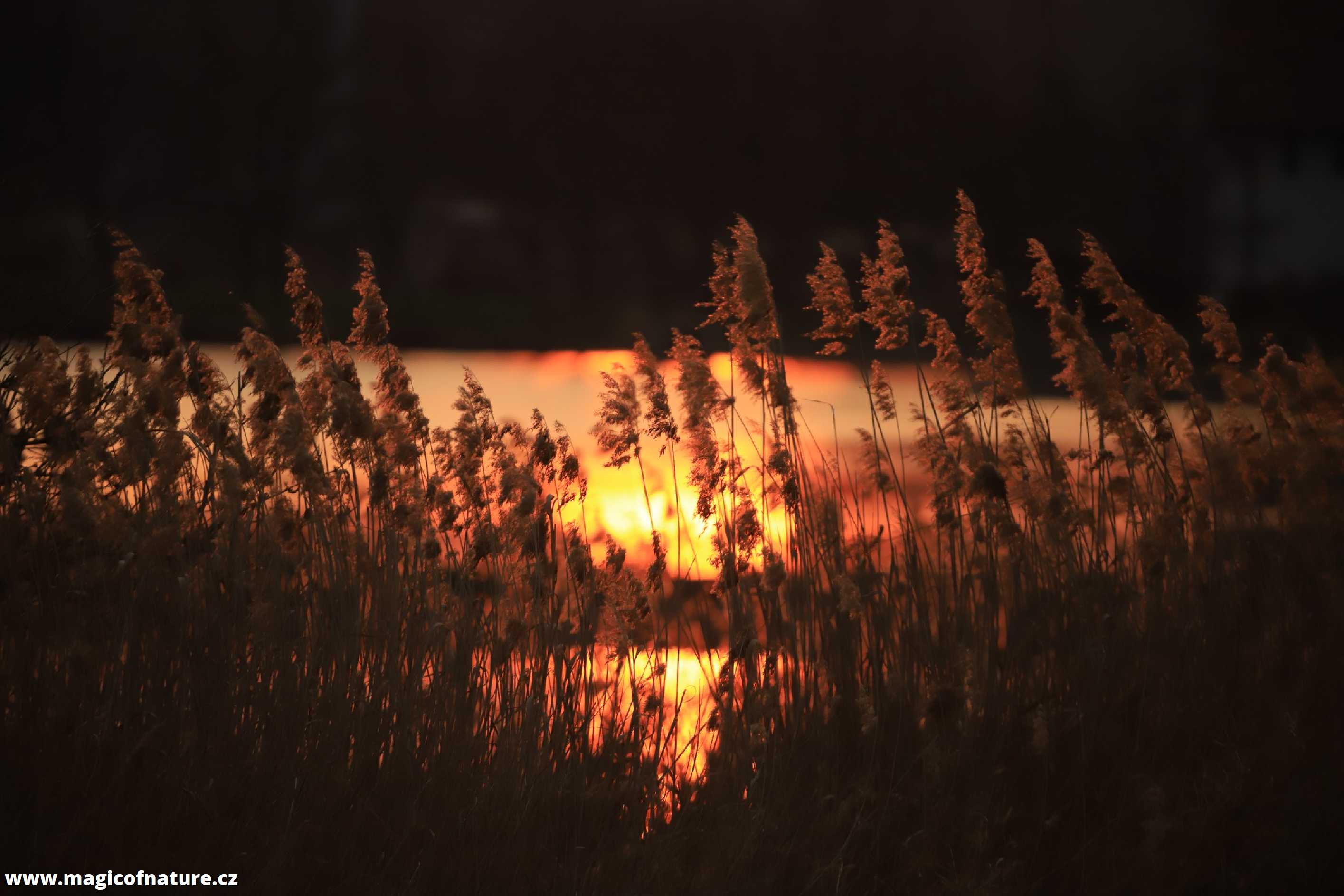 Březnové ráno - Foto Ladislav Jonák 0326 (2)