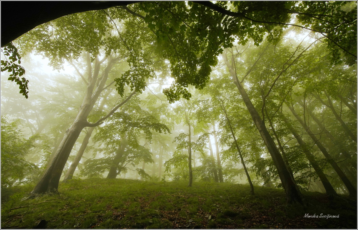 Šluknovsko - Foto Monika Suržinová 0625 (1)