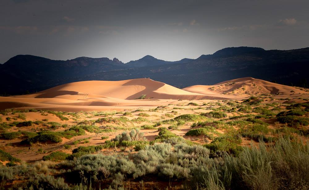 Coral Pink Sand Dunes NP - Foto Ladislav Hanousek 0325