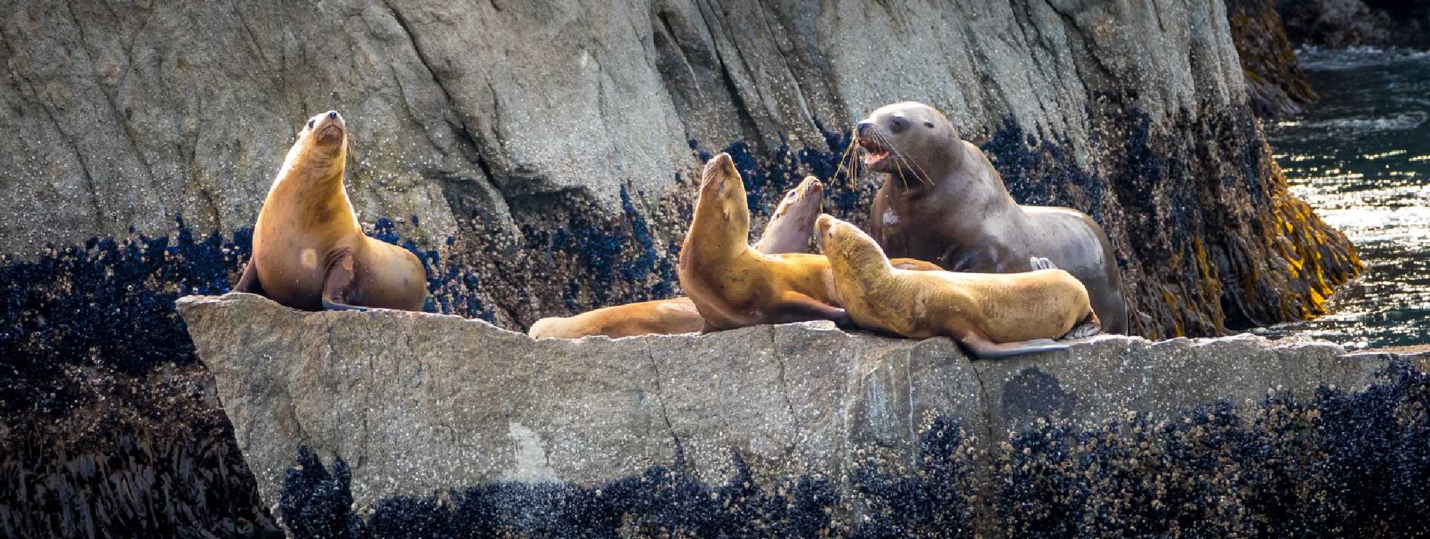 Aljaška - Foto Ladislav Hanousek 0925 (3)