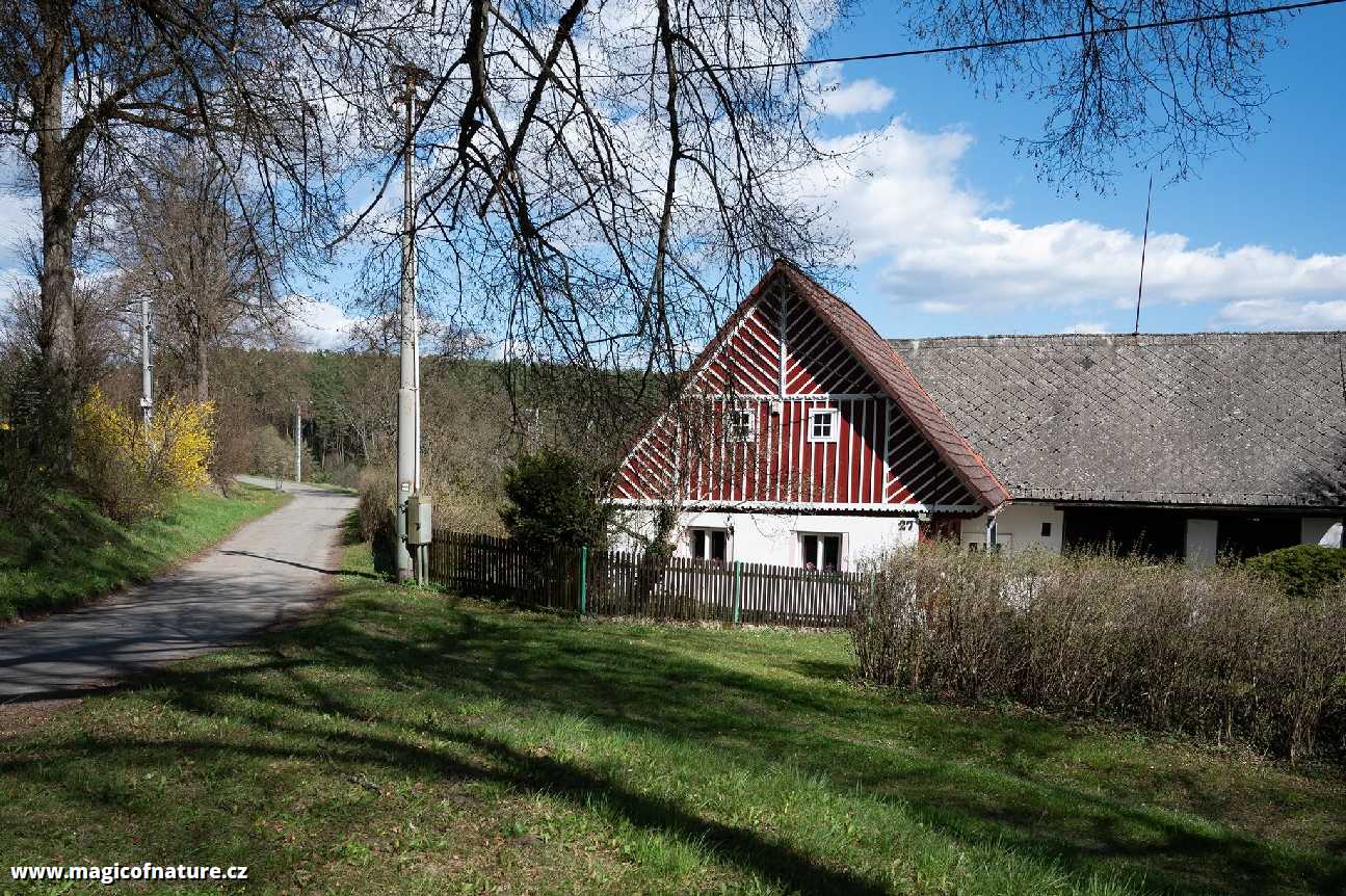 Letařovice - Foto Jaroslava Jechová 0426 (2)