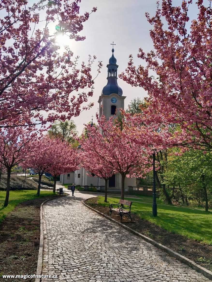 Vratislavice nad Nisou - Foto Jaroslava Jechová 0426