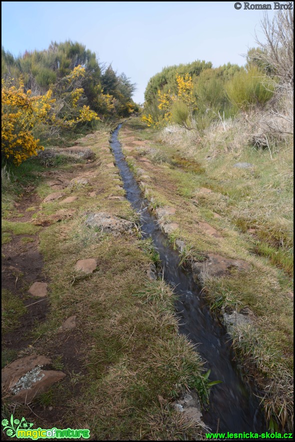 Madeira - Levada - Foto Roman Brož (20)